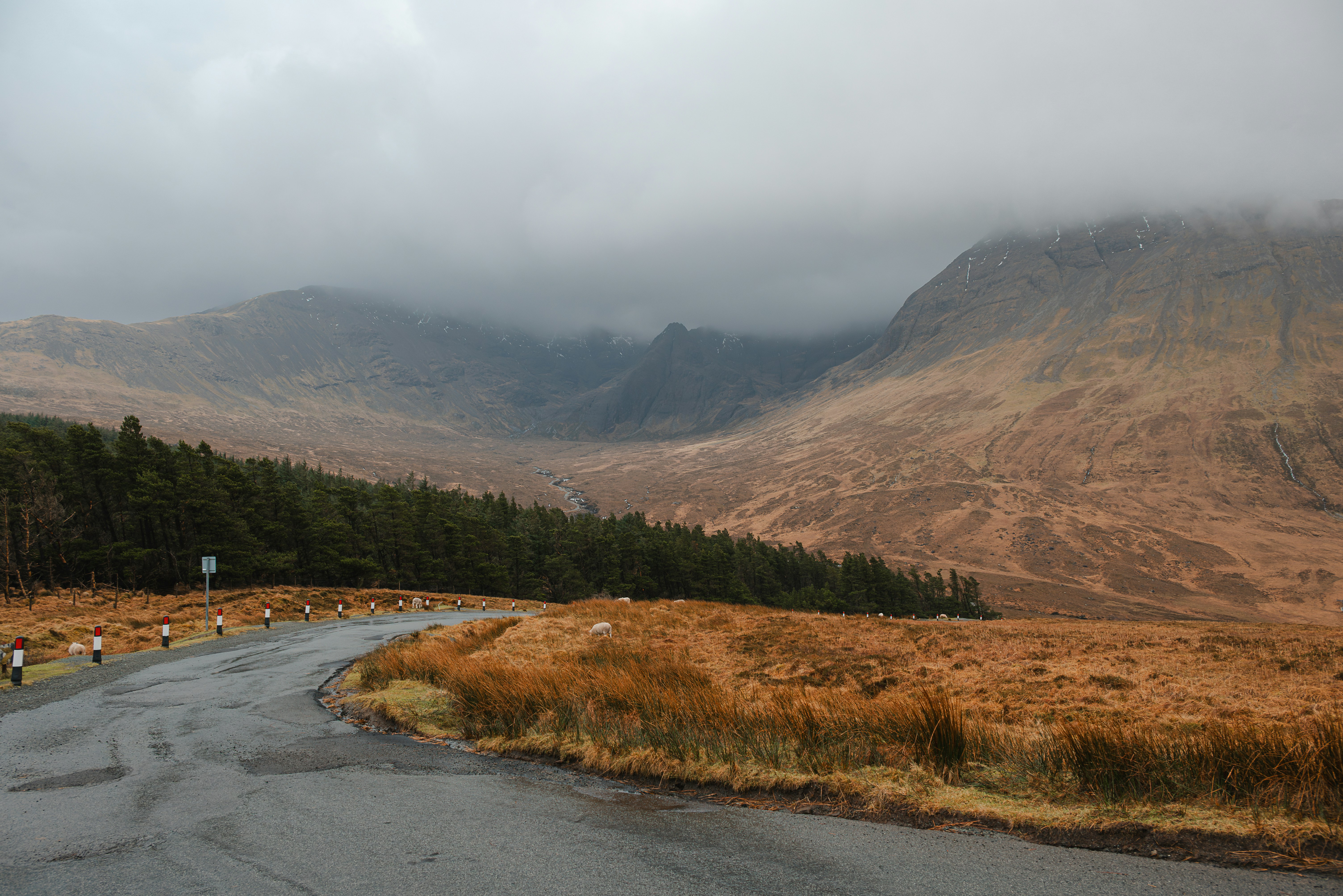 Photo by jetztabertempo