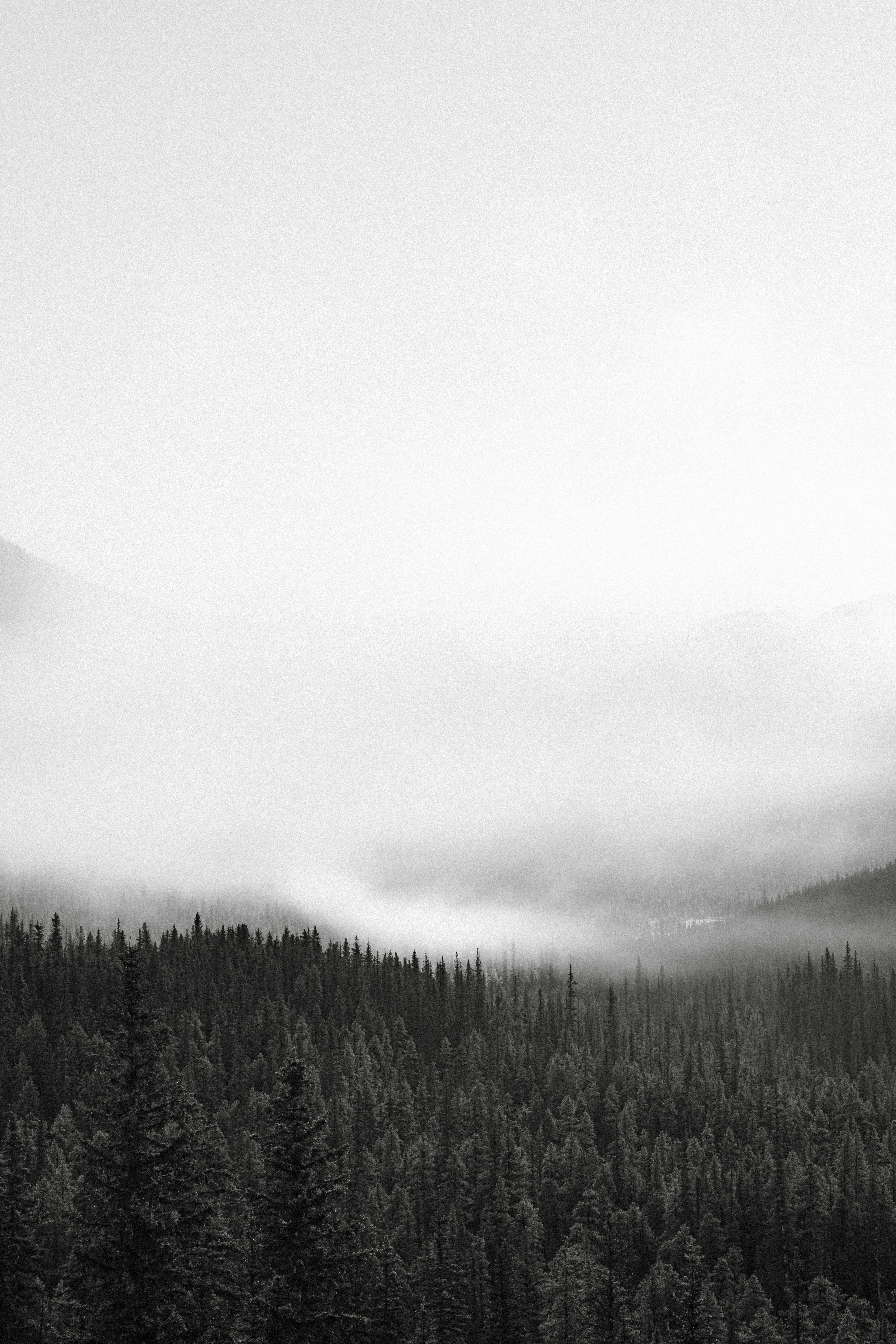 Photo by geoffreybusse