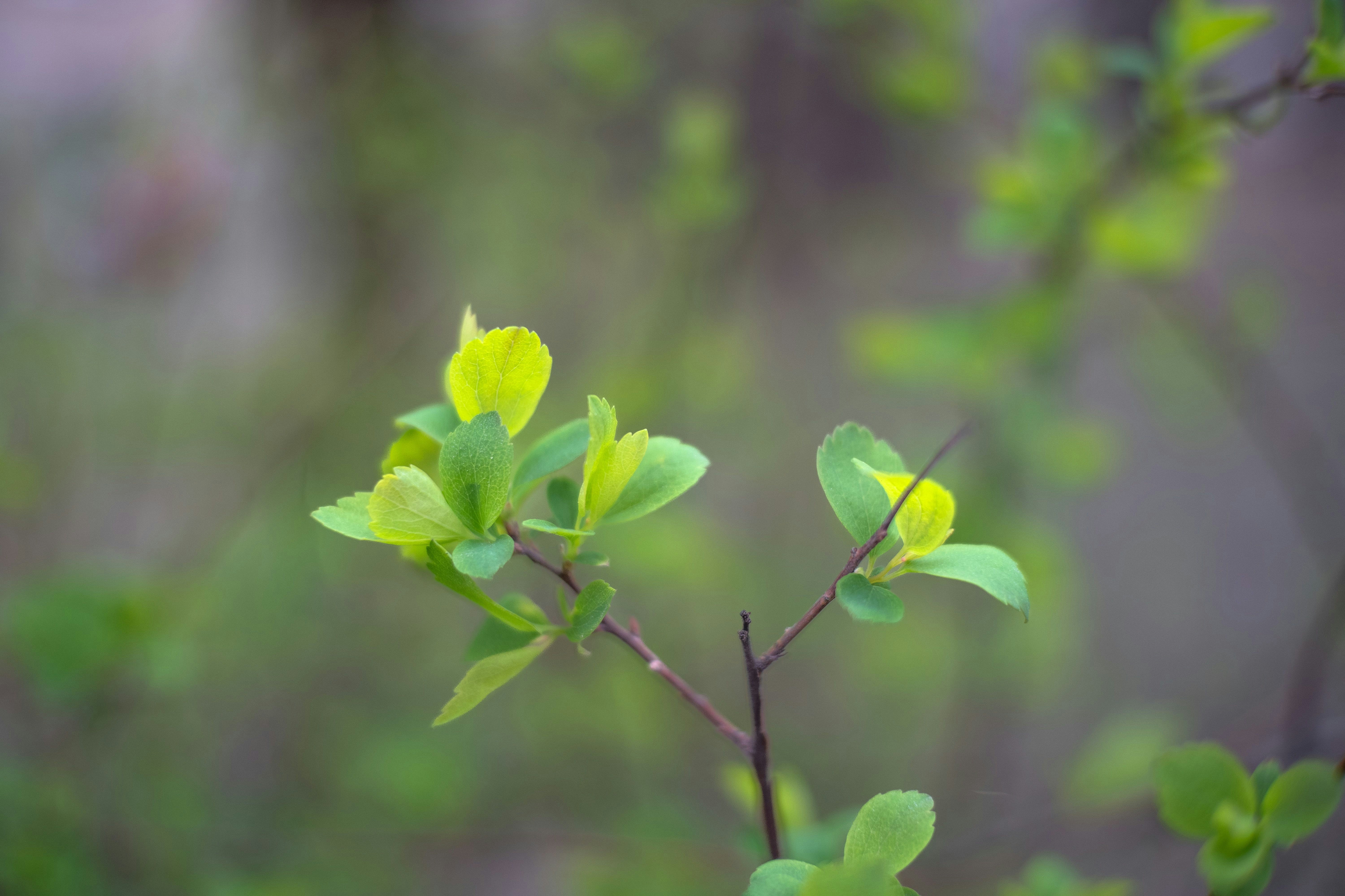 Photo by sevencolors