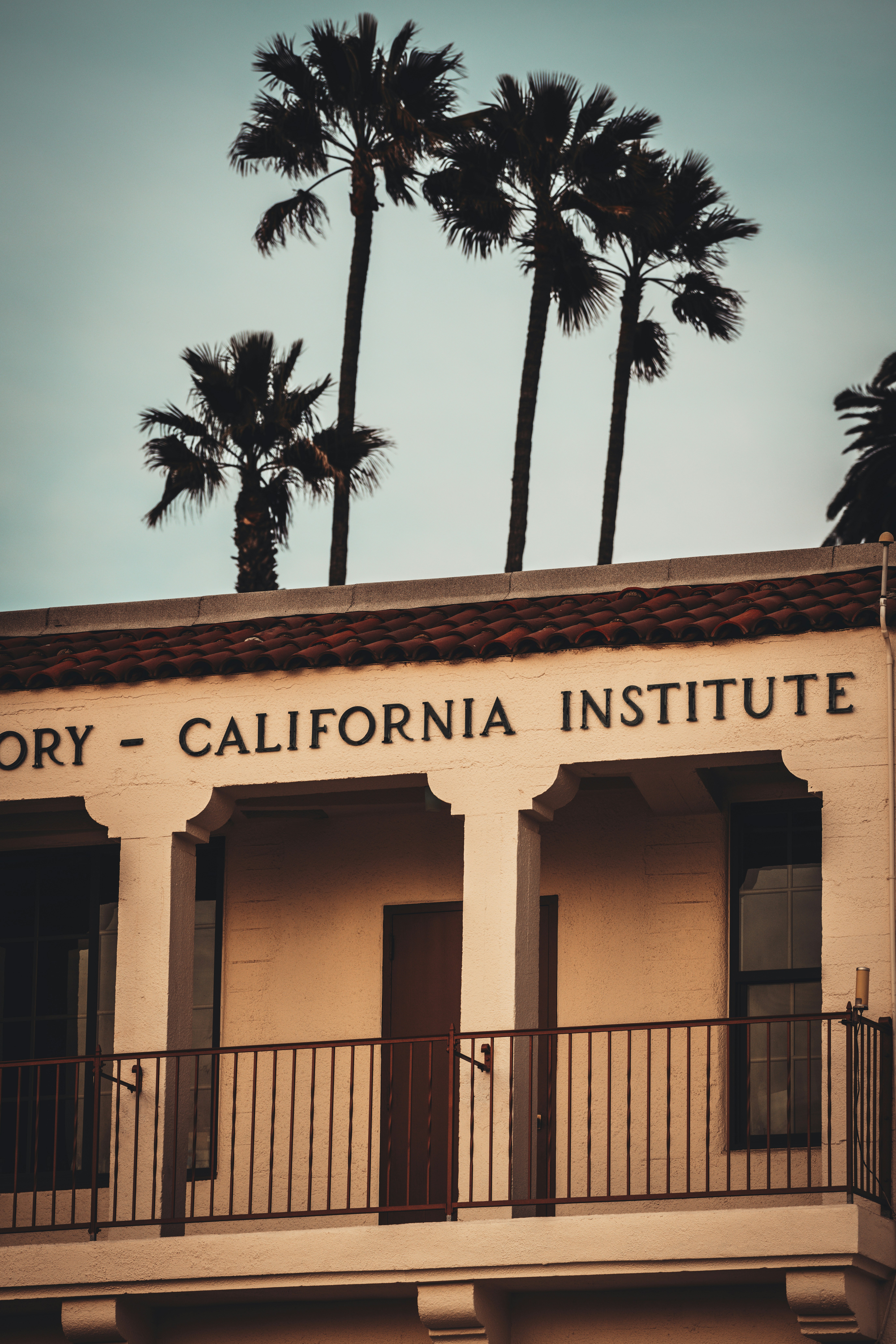 A tall white building with palm trees in the background