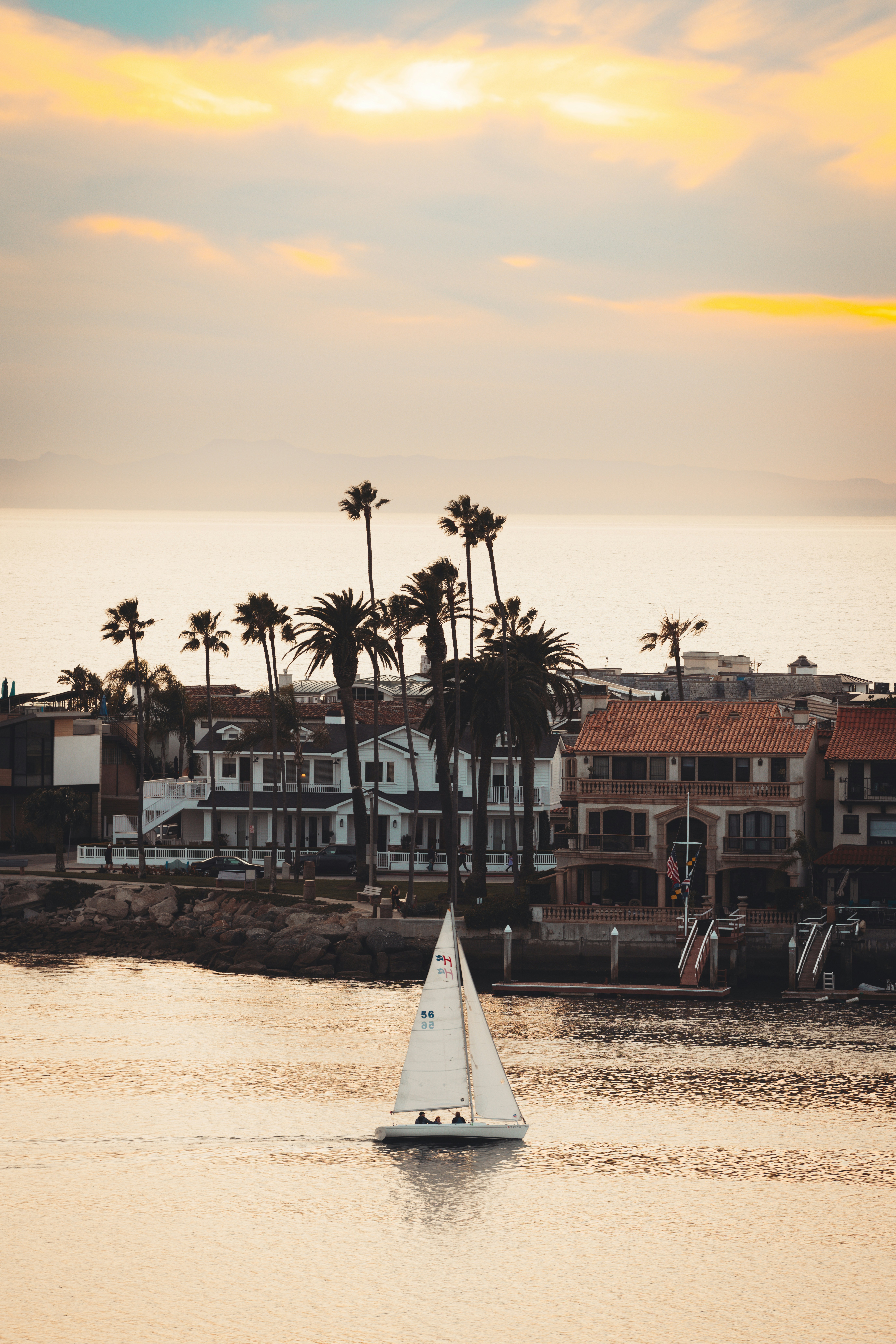 A sailboat in the water with palm trees in the background
