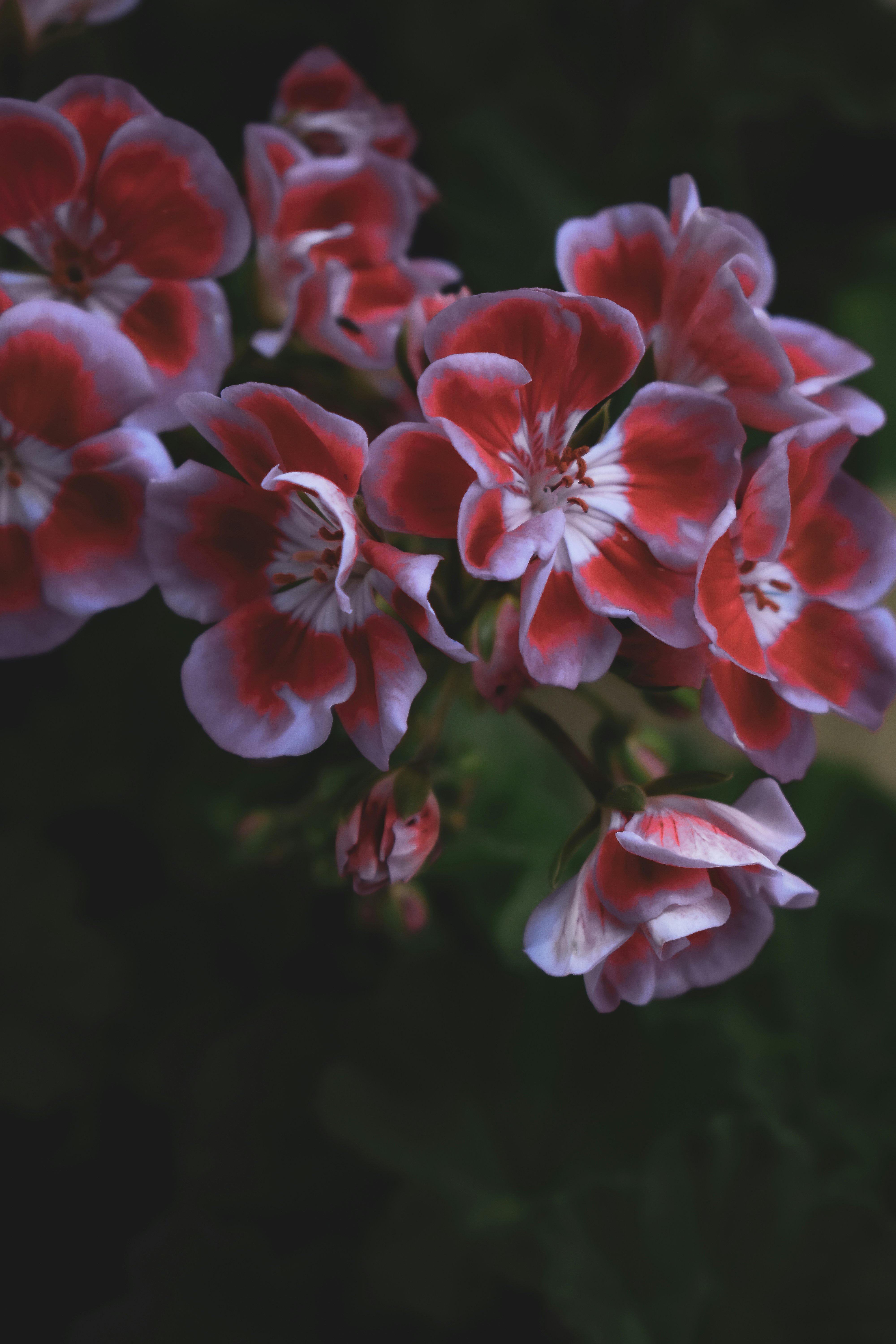 Photo by nmczcreative