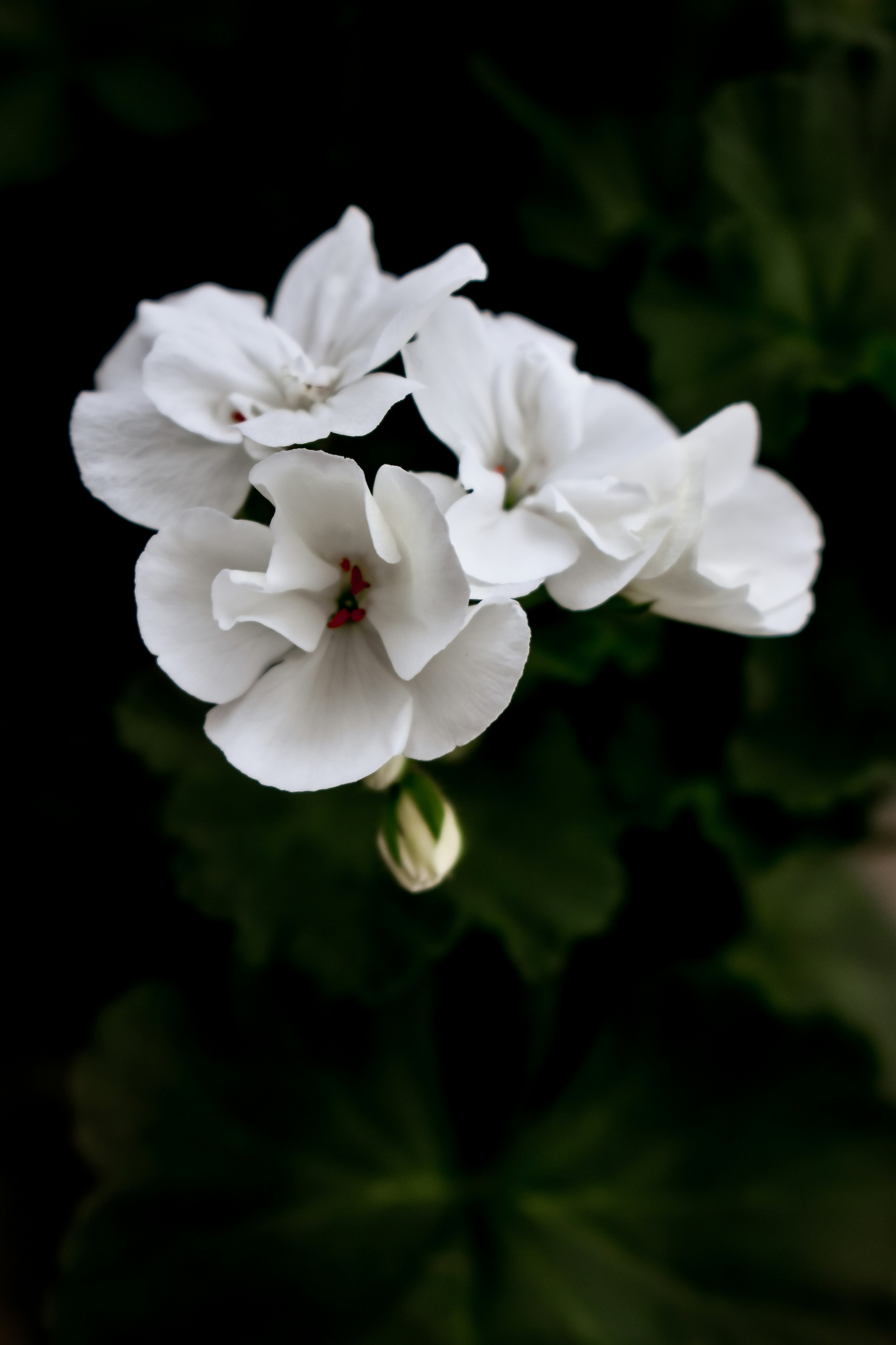 Photo by nmczcreative