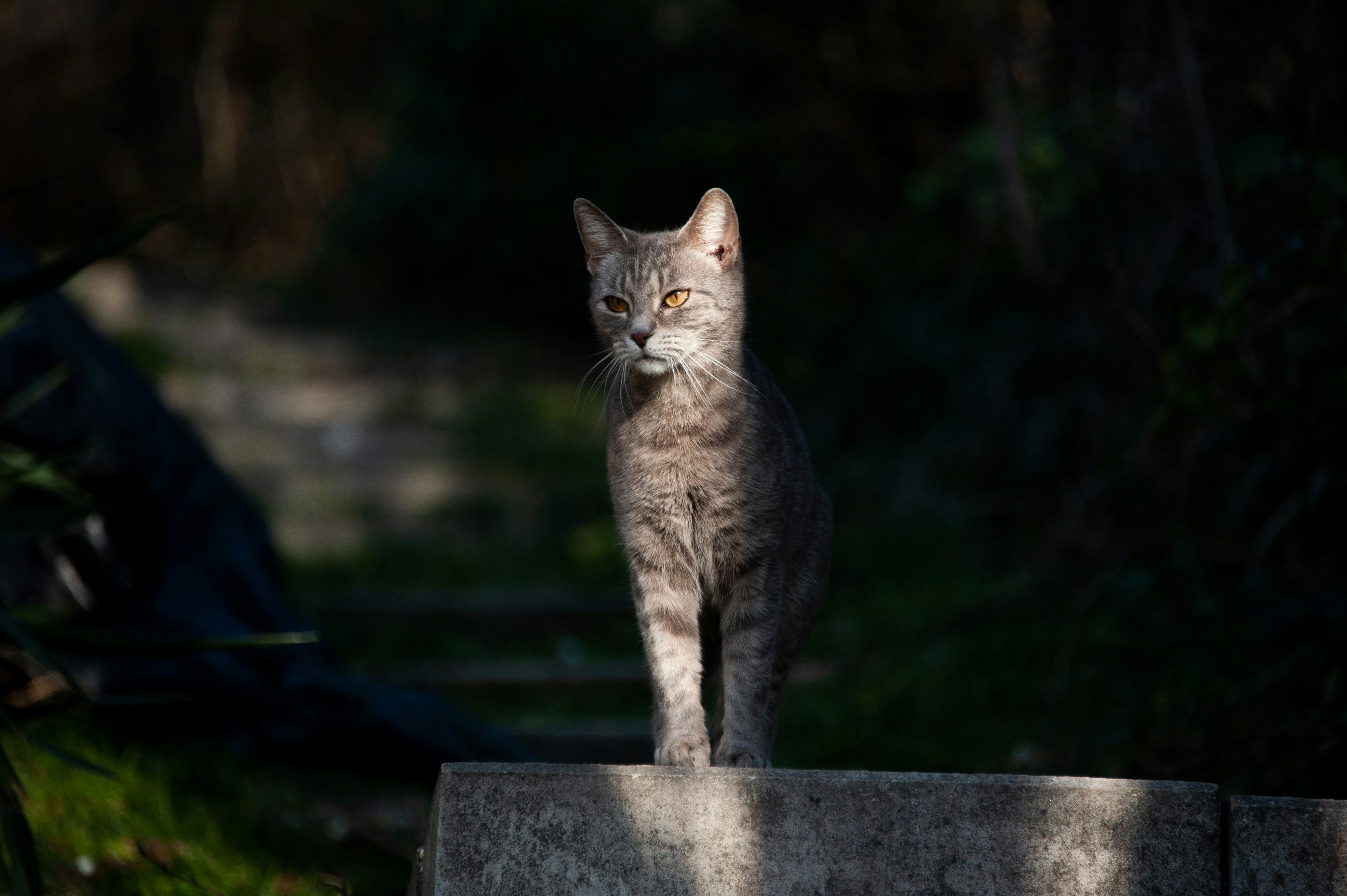 Photo by rrricharddd