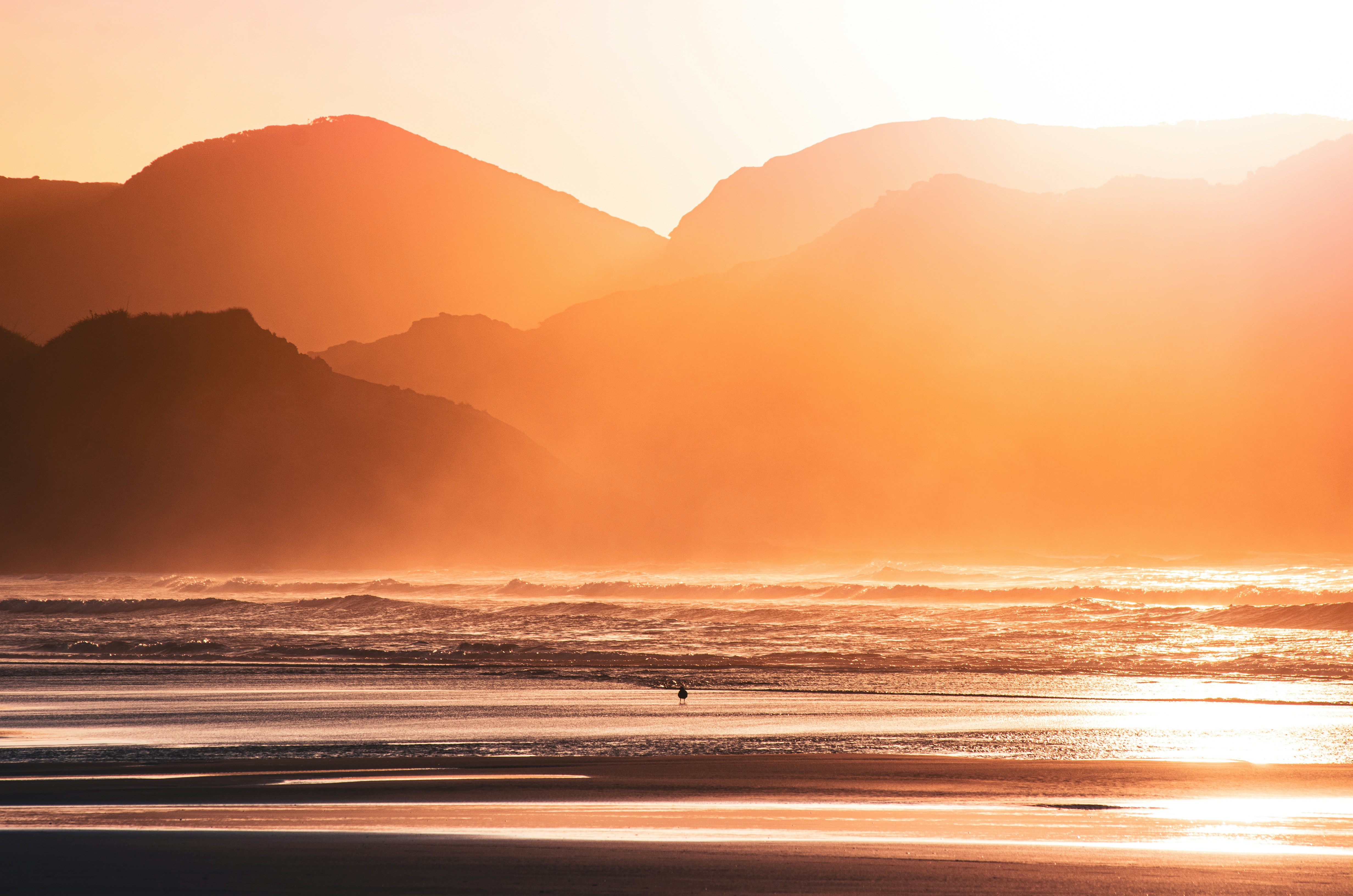 Photo by framesofdiscovery