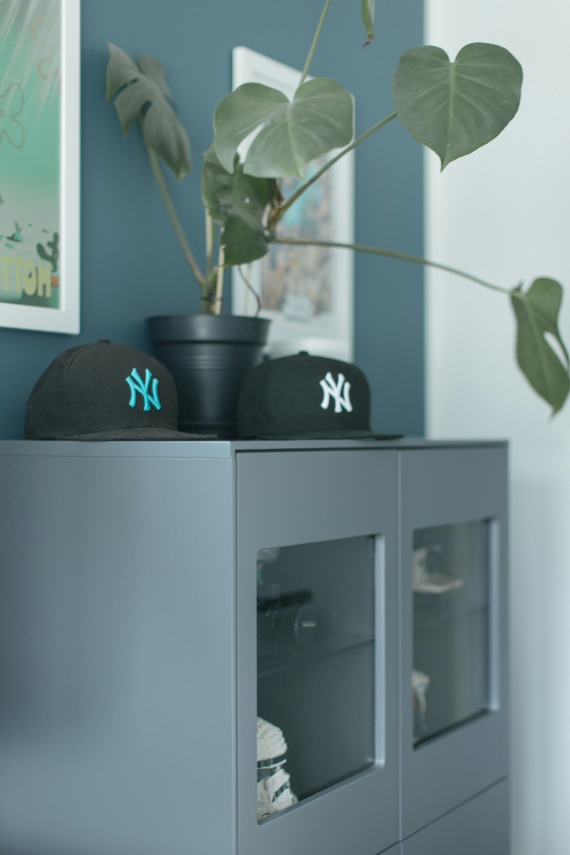 A plant in a pot on top of a gray cabinet