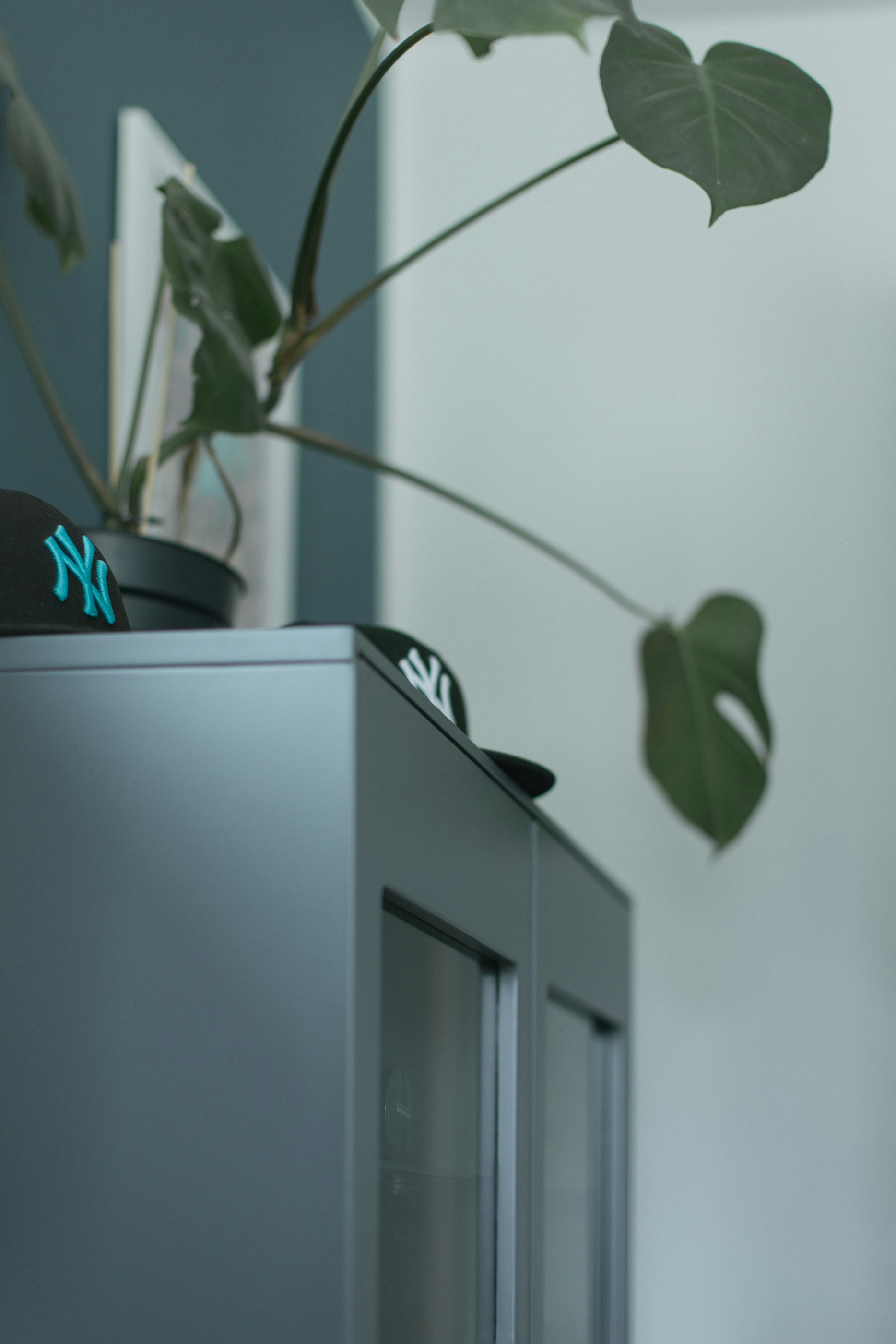 A potted plant sitting on top of a metal cabinet