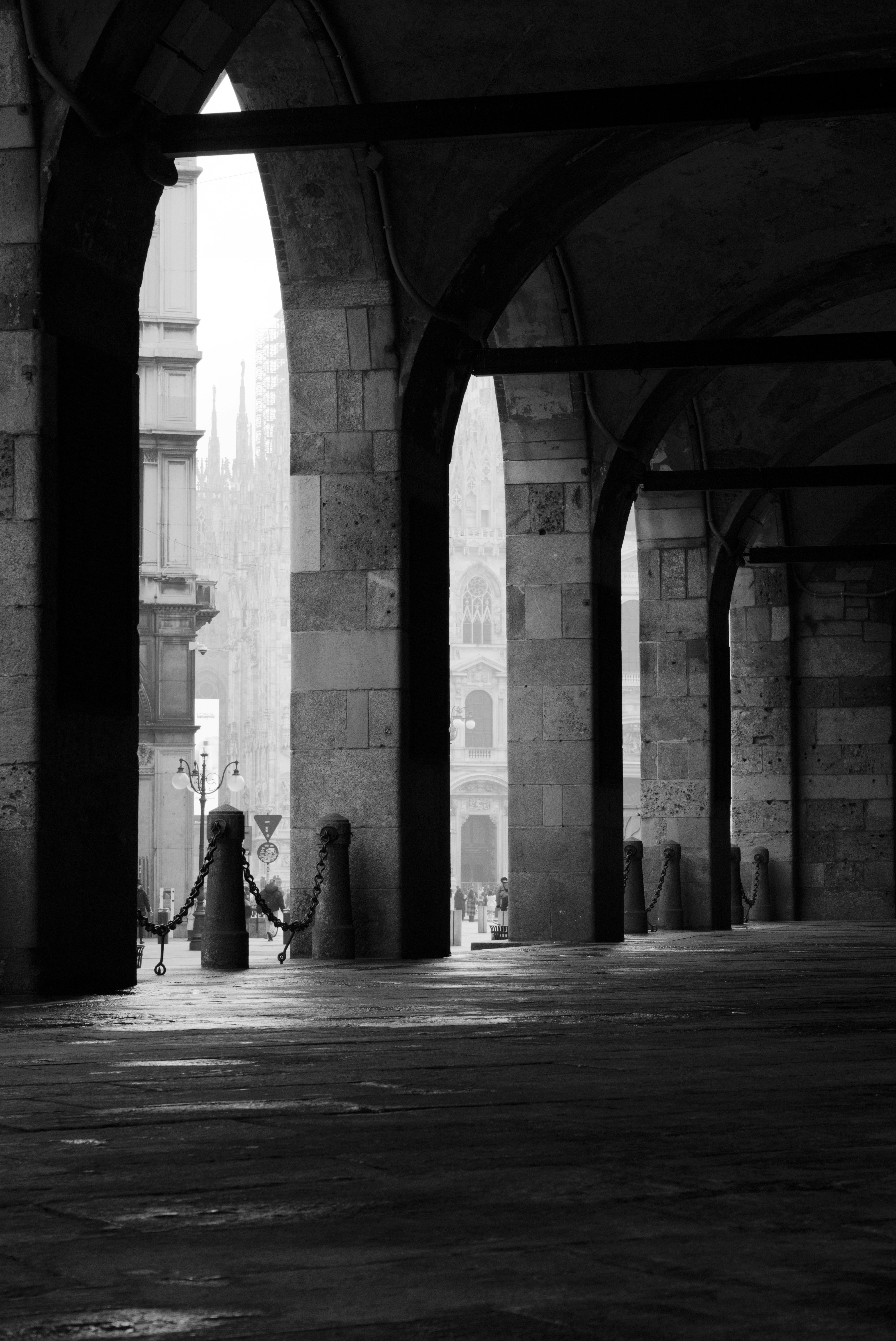 Photo by _leo_di_ma_