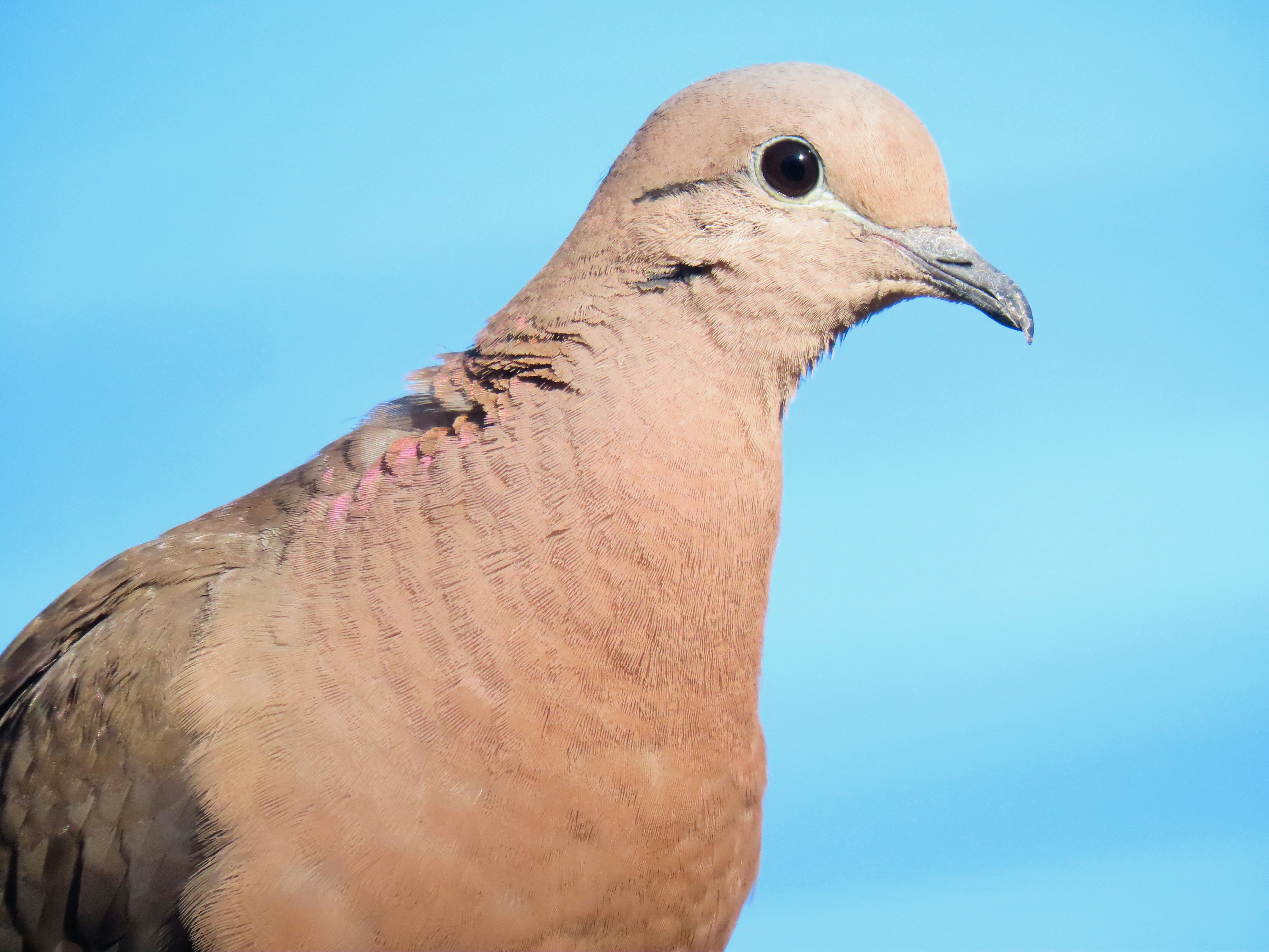 Photo by patricianicoloso