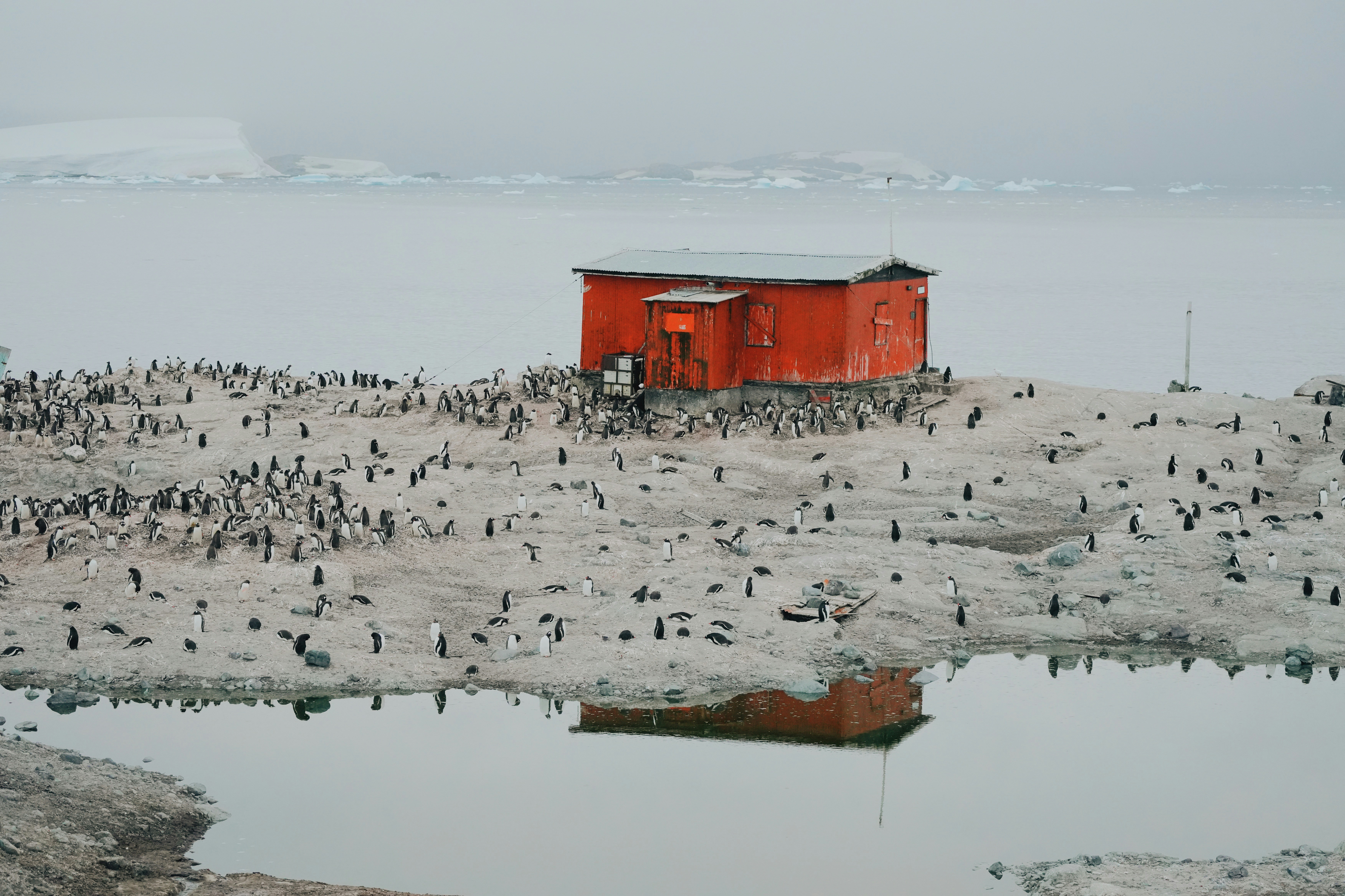 Pôle Sud - Station Amundsen-Scott (Antarctique)