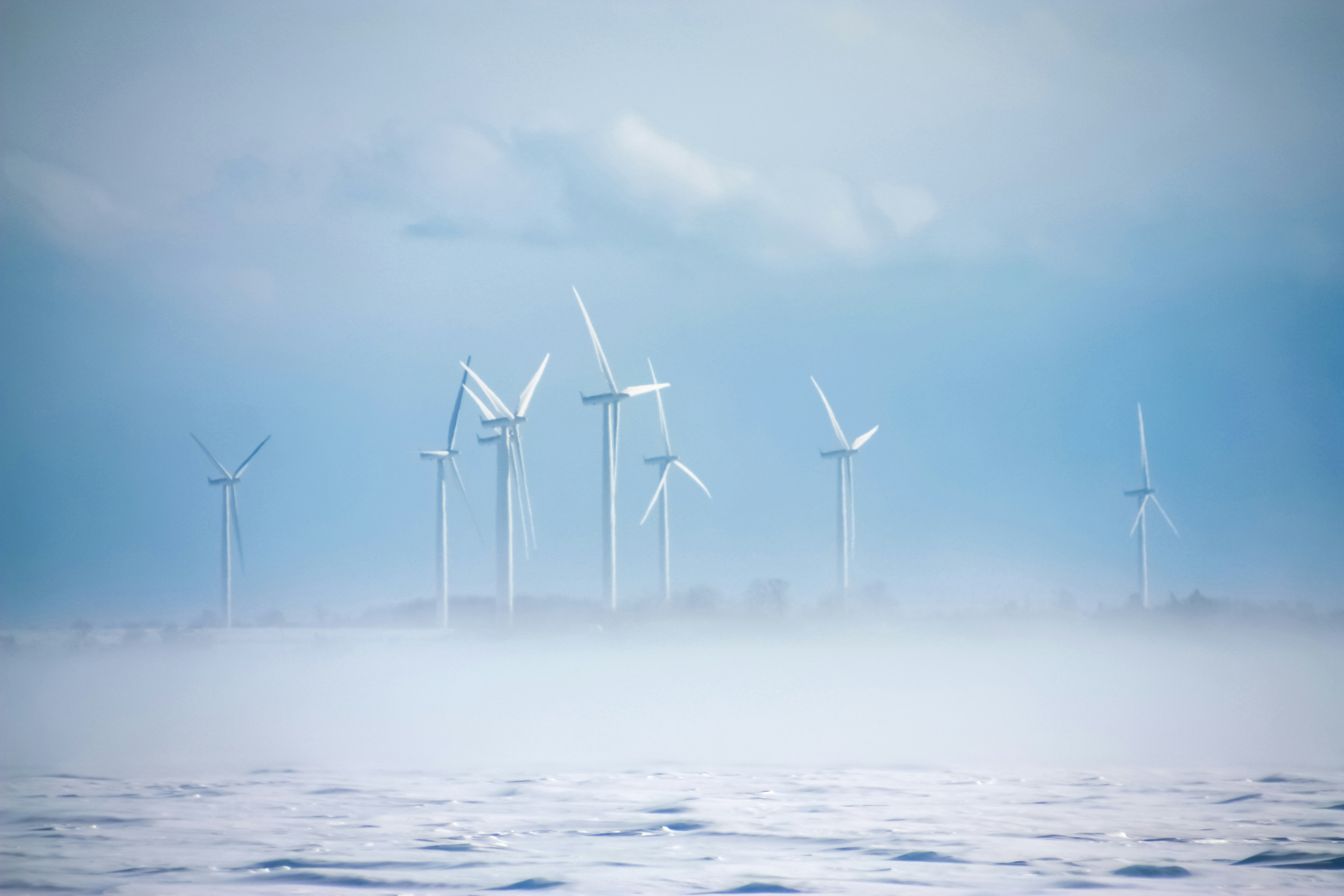 Photo by anthonyaird