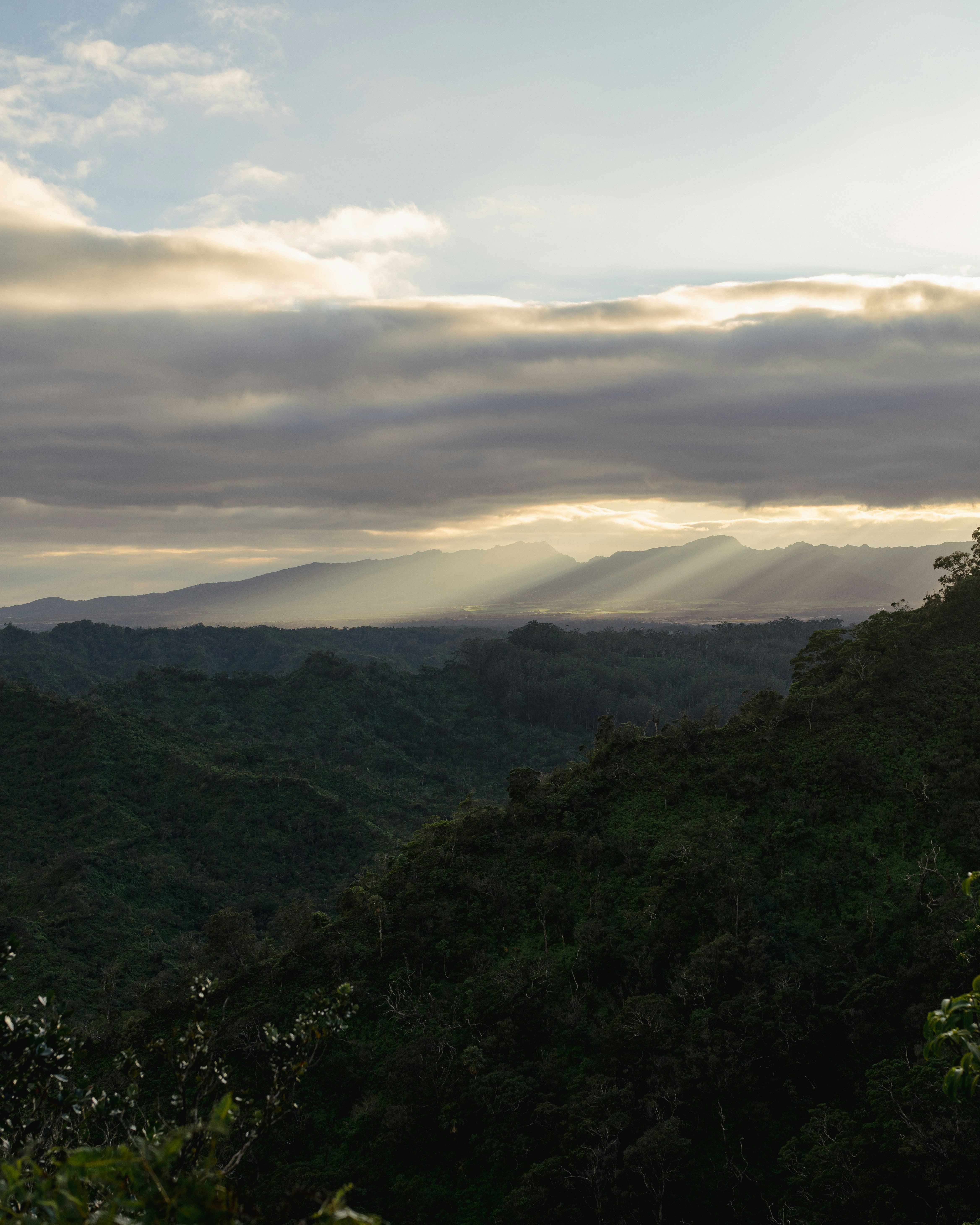 Photo by brendendelgado