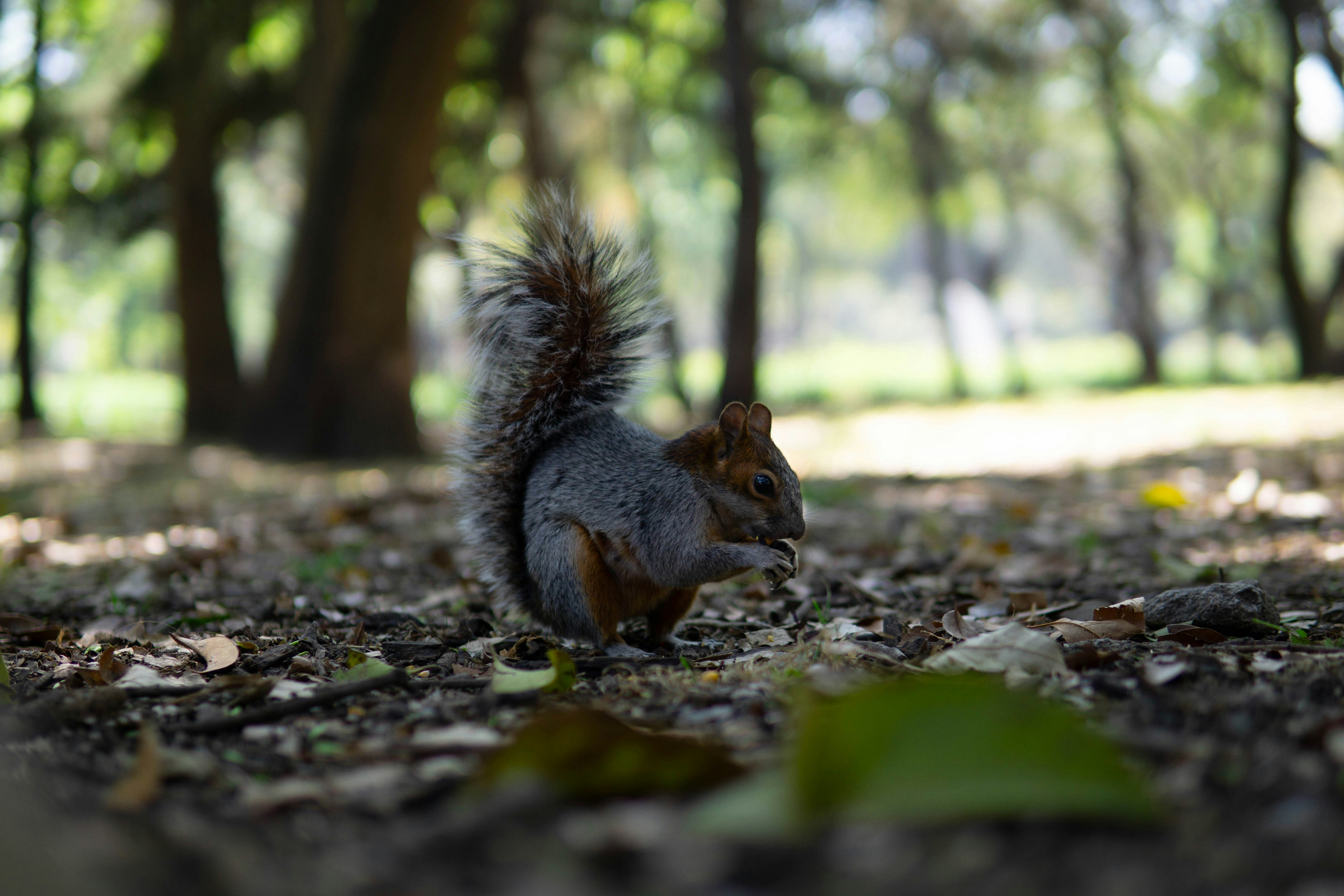 Photo by rafa_jimenez