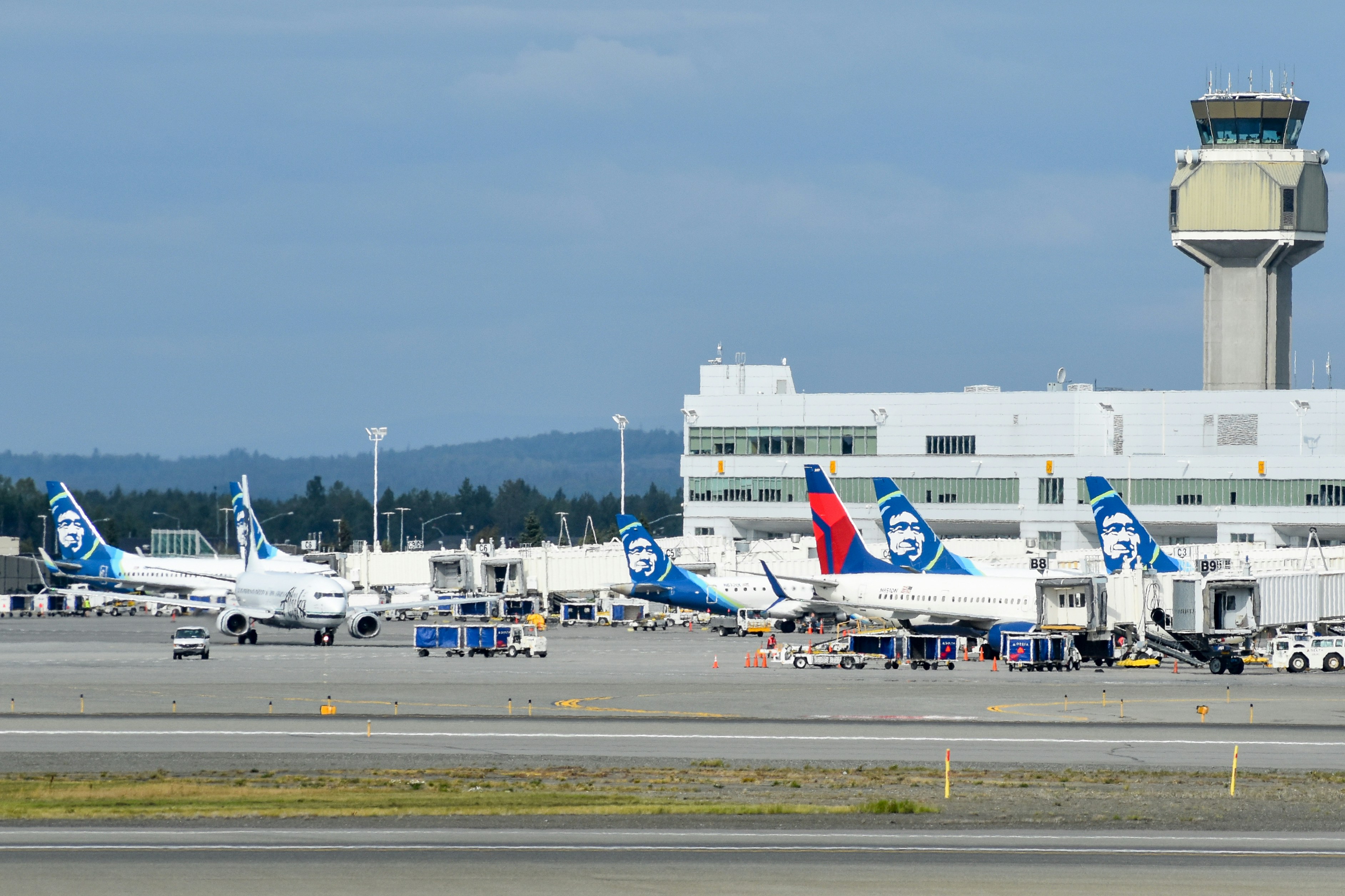 A group of airplanes parked at an airport