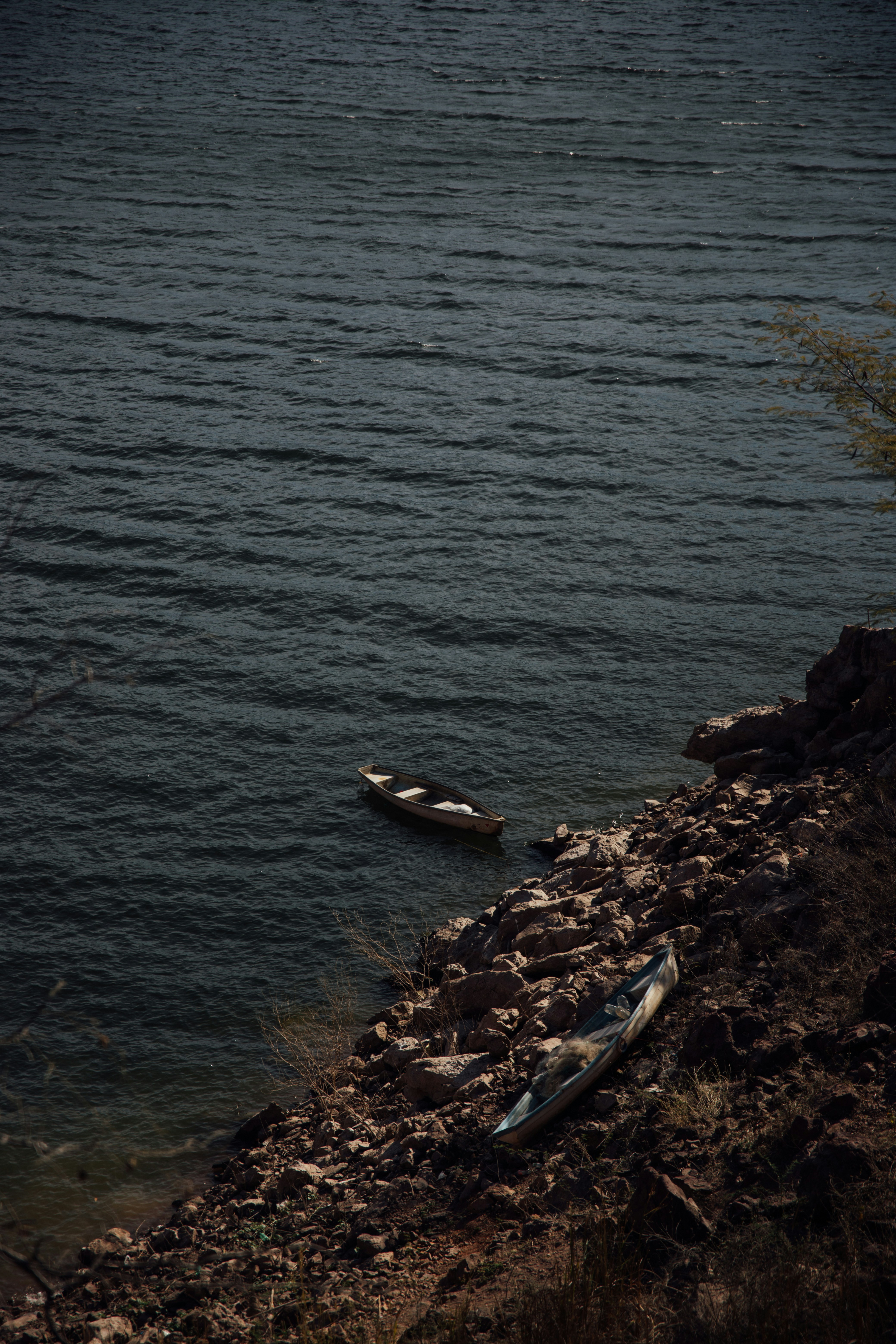 Photo by hectoroconnor