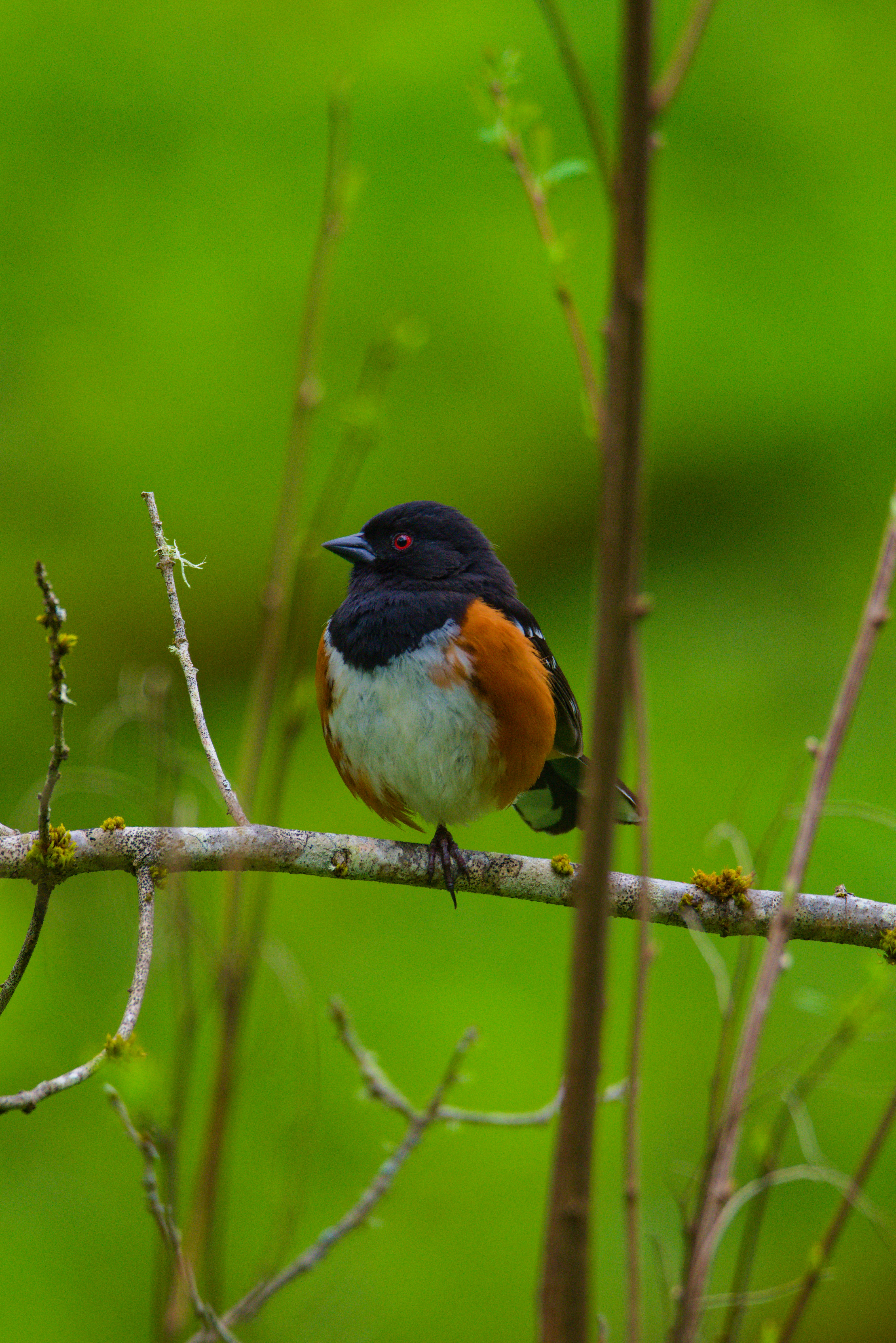 Photo by chriscross05