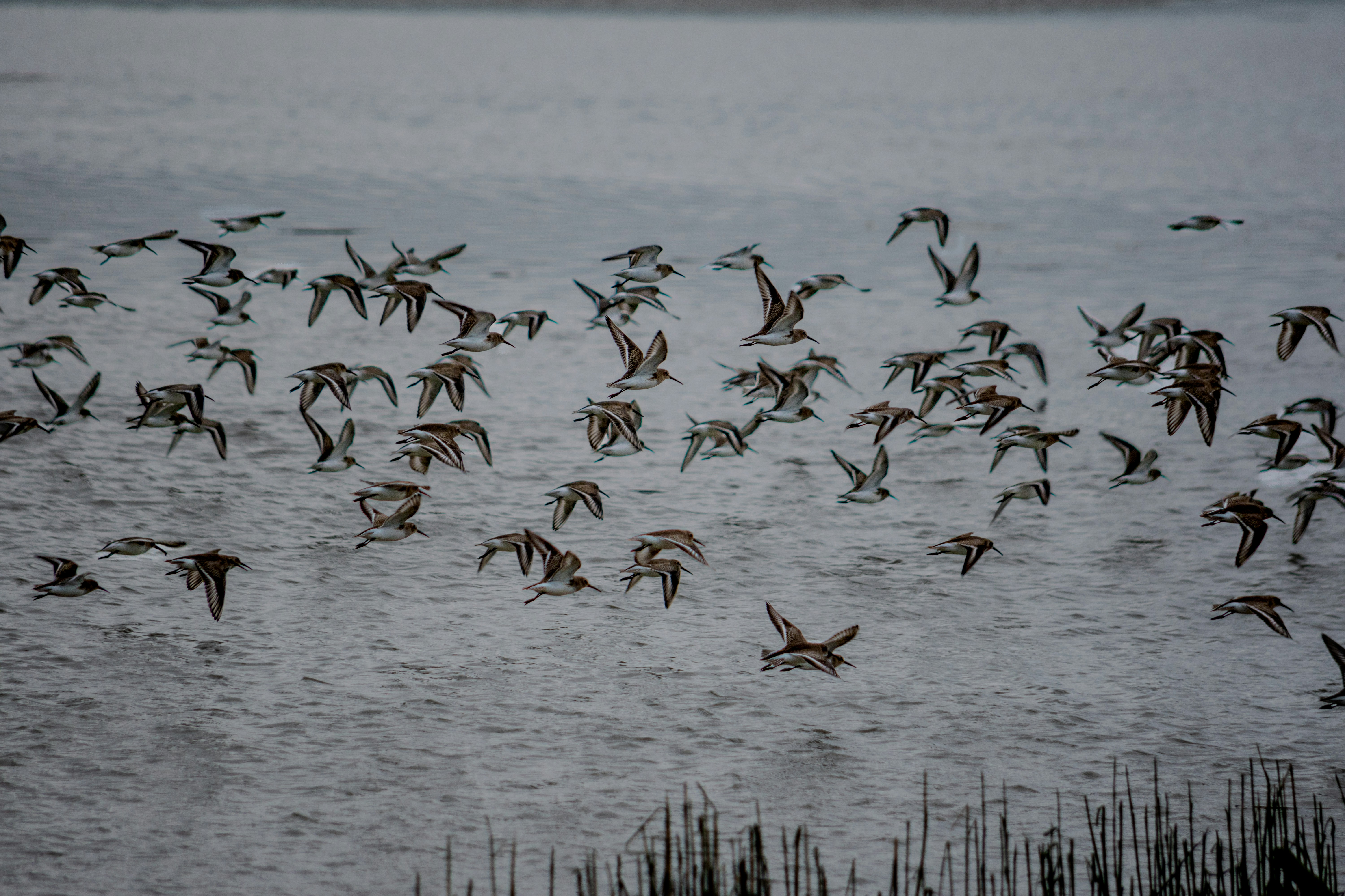 Photo by chriscross05