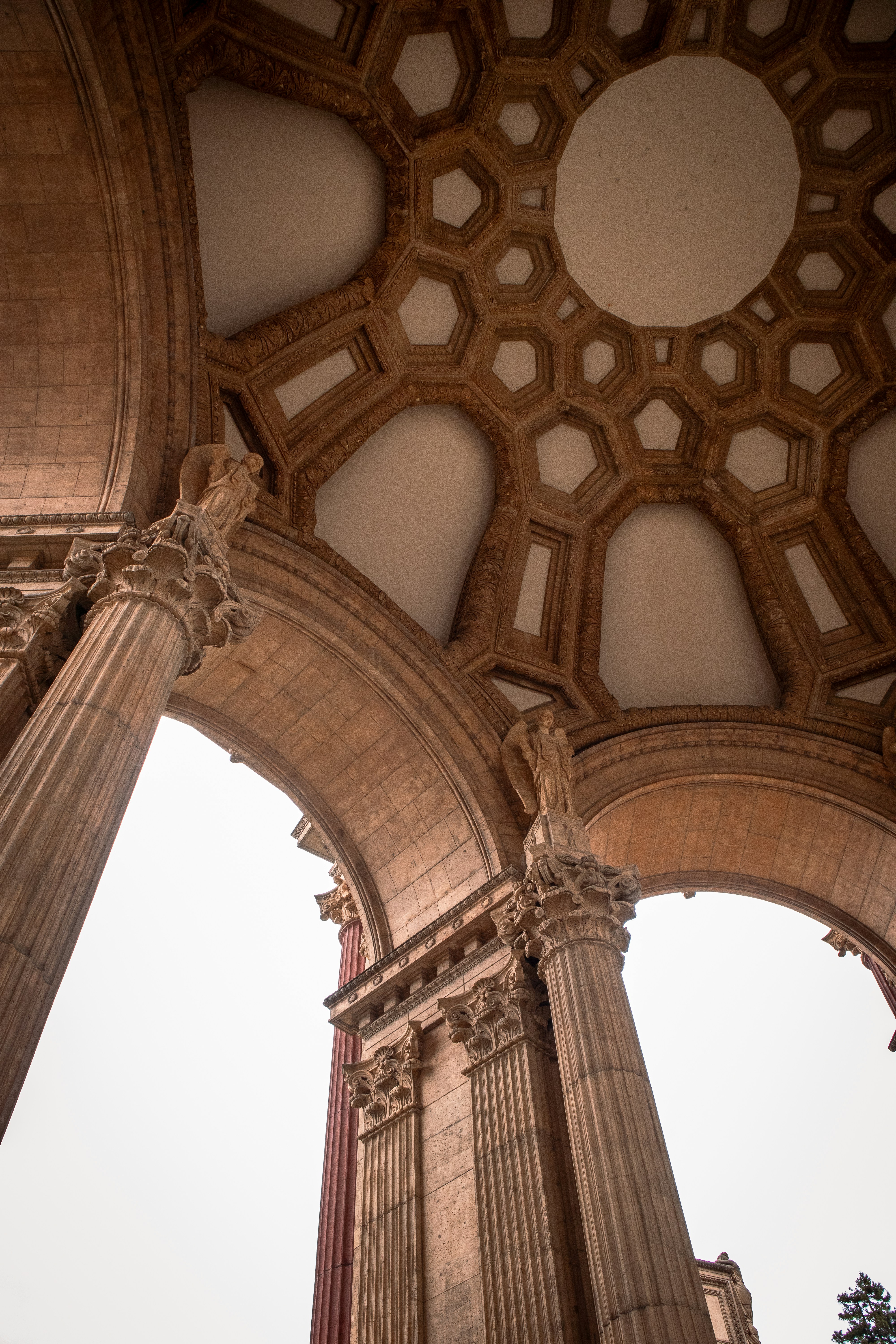 Photo by charly_nguyen