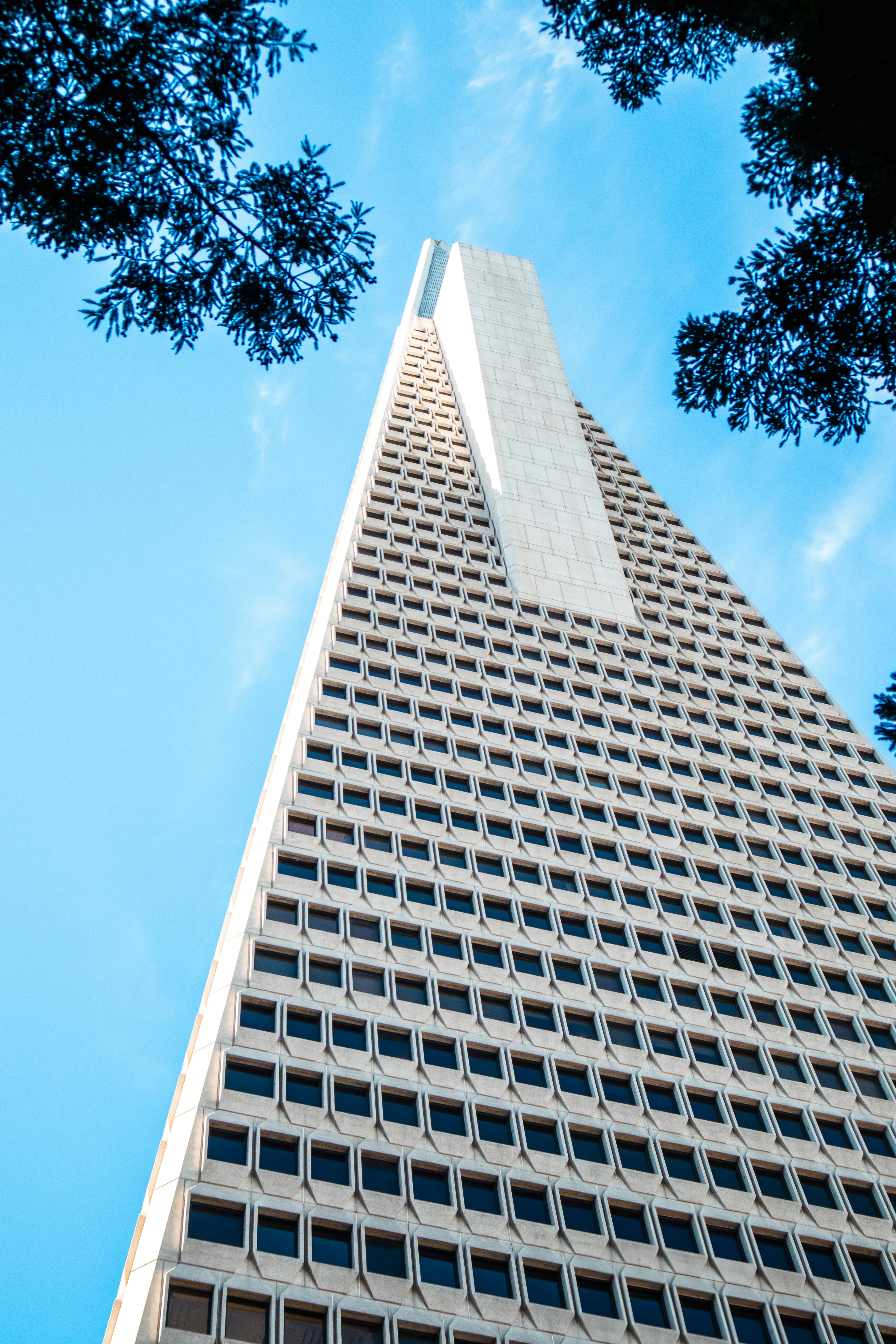 Photo by charly_nguyen