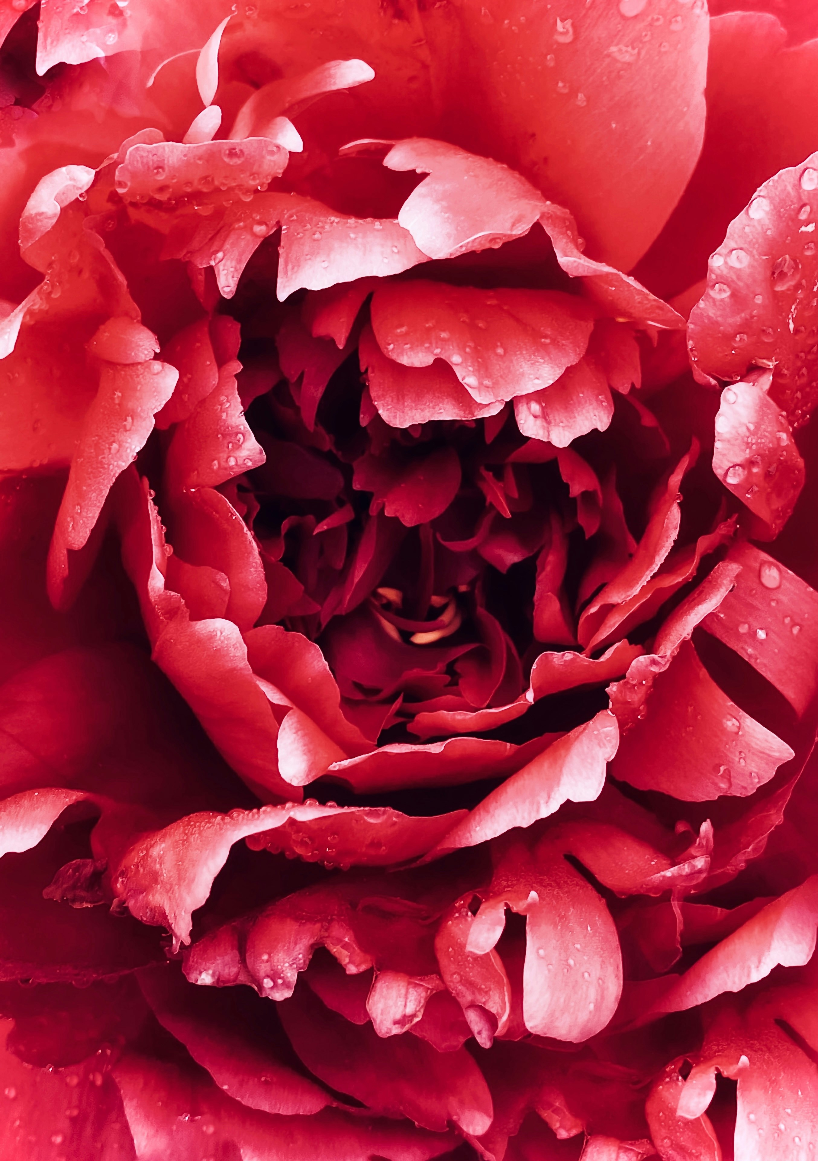 Photo by eugene_golovesov