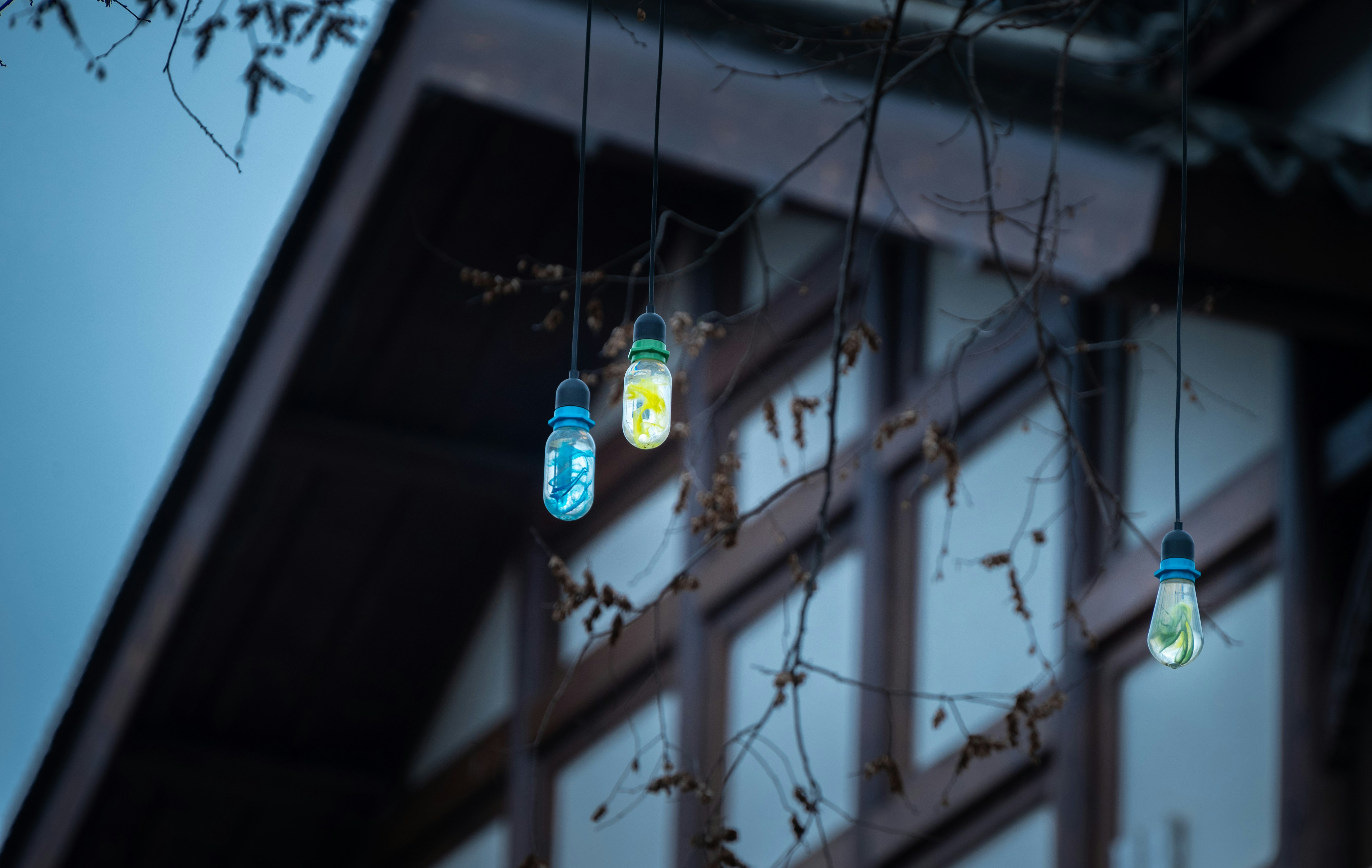 Three lights hanging from a tree outside of a building