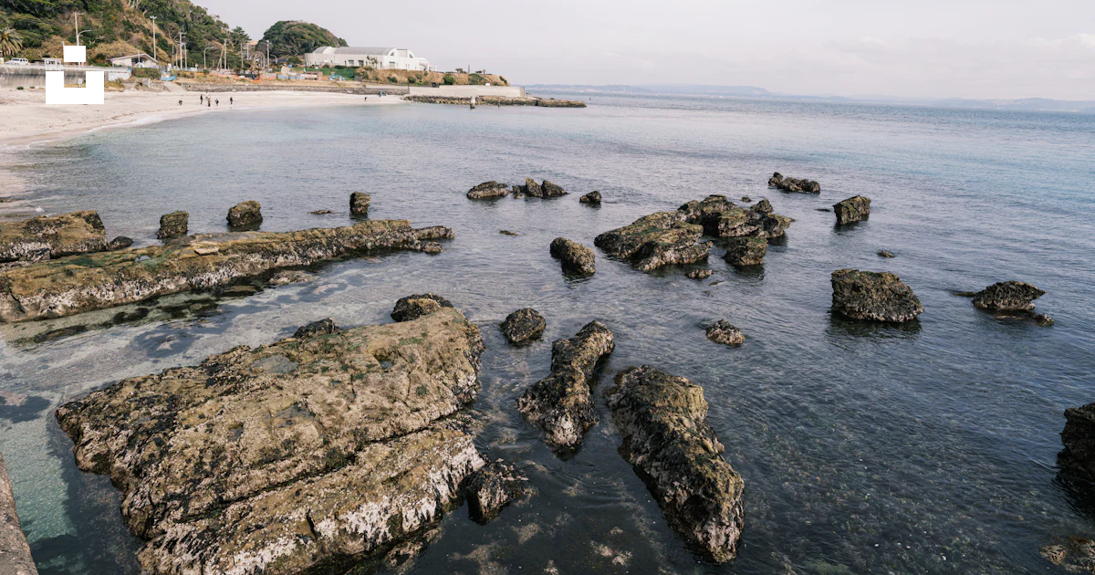 A view of a beach with rocks in the water photo – Free Nature Image on ...