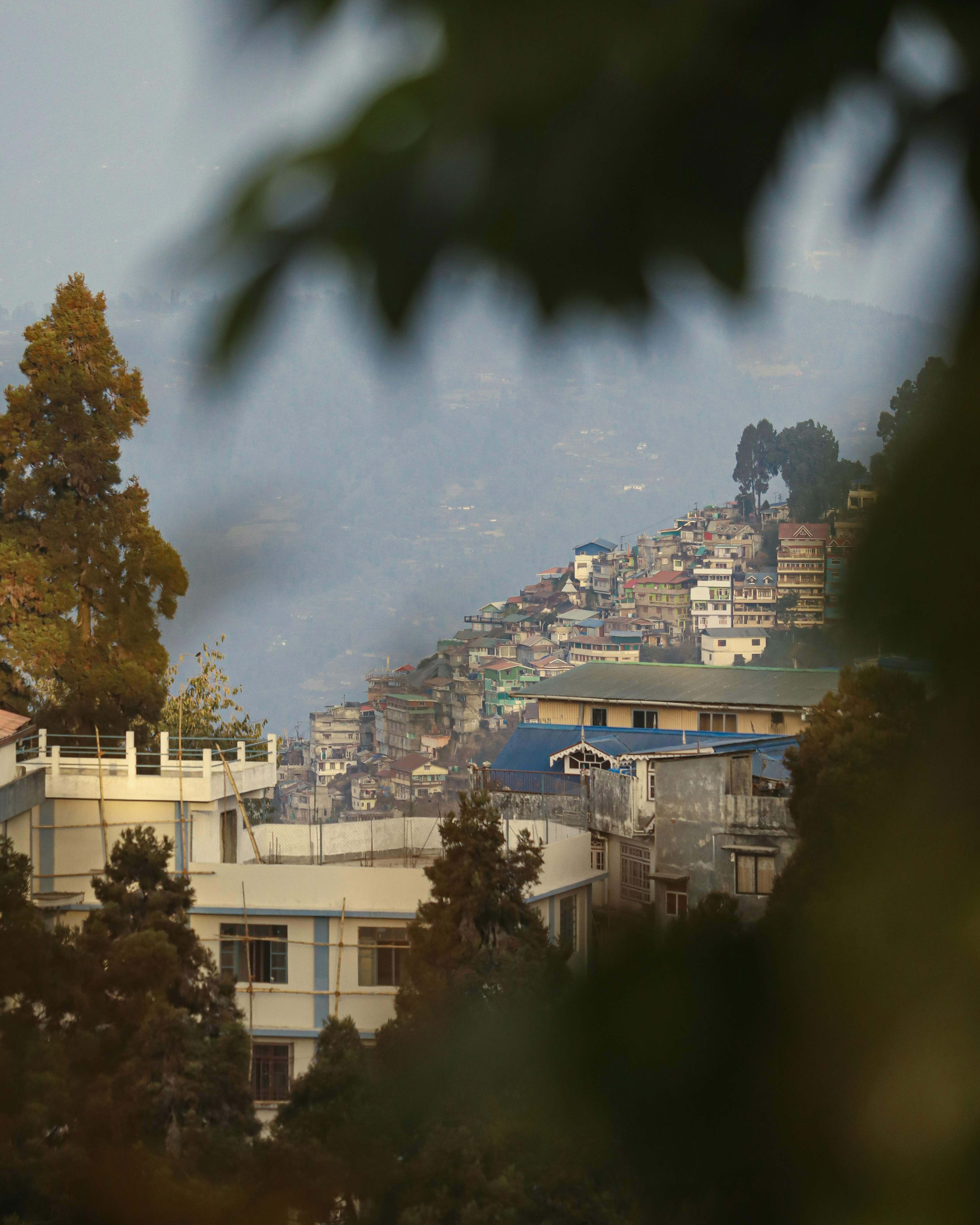 Photo by rohitsharma1785