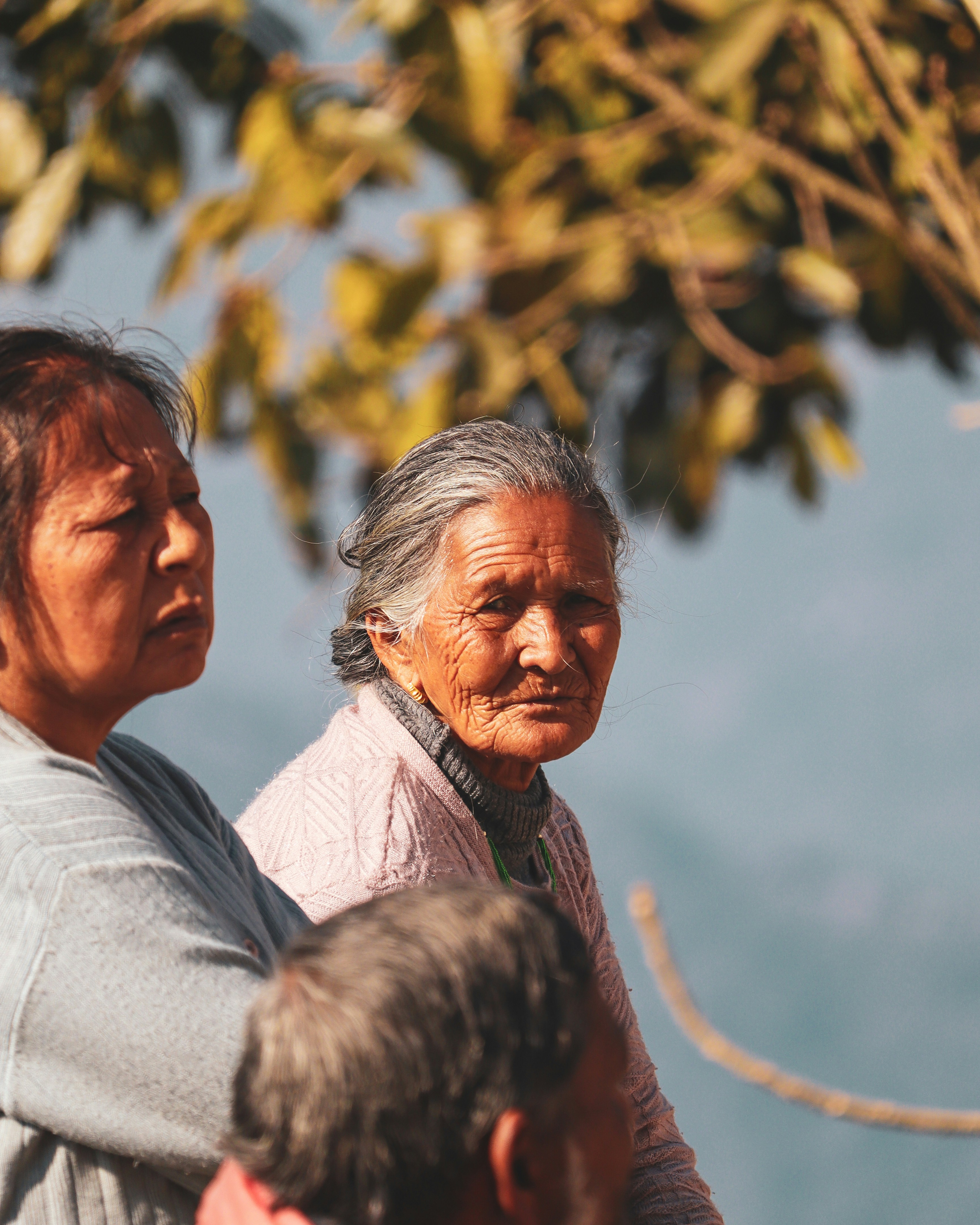 Photo by rohitsharma1785