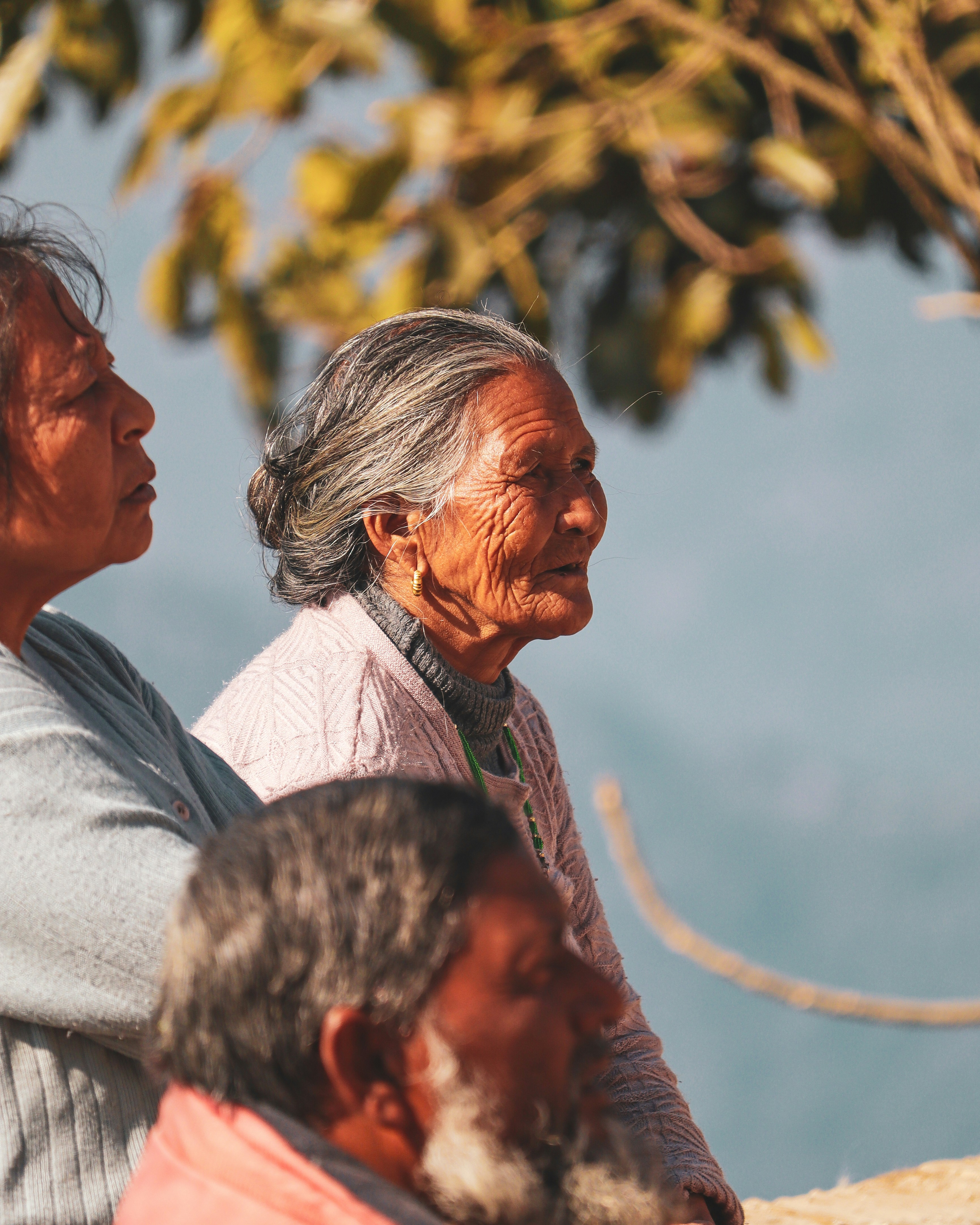 Photo by rohitsharma1785