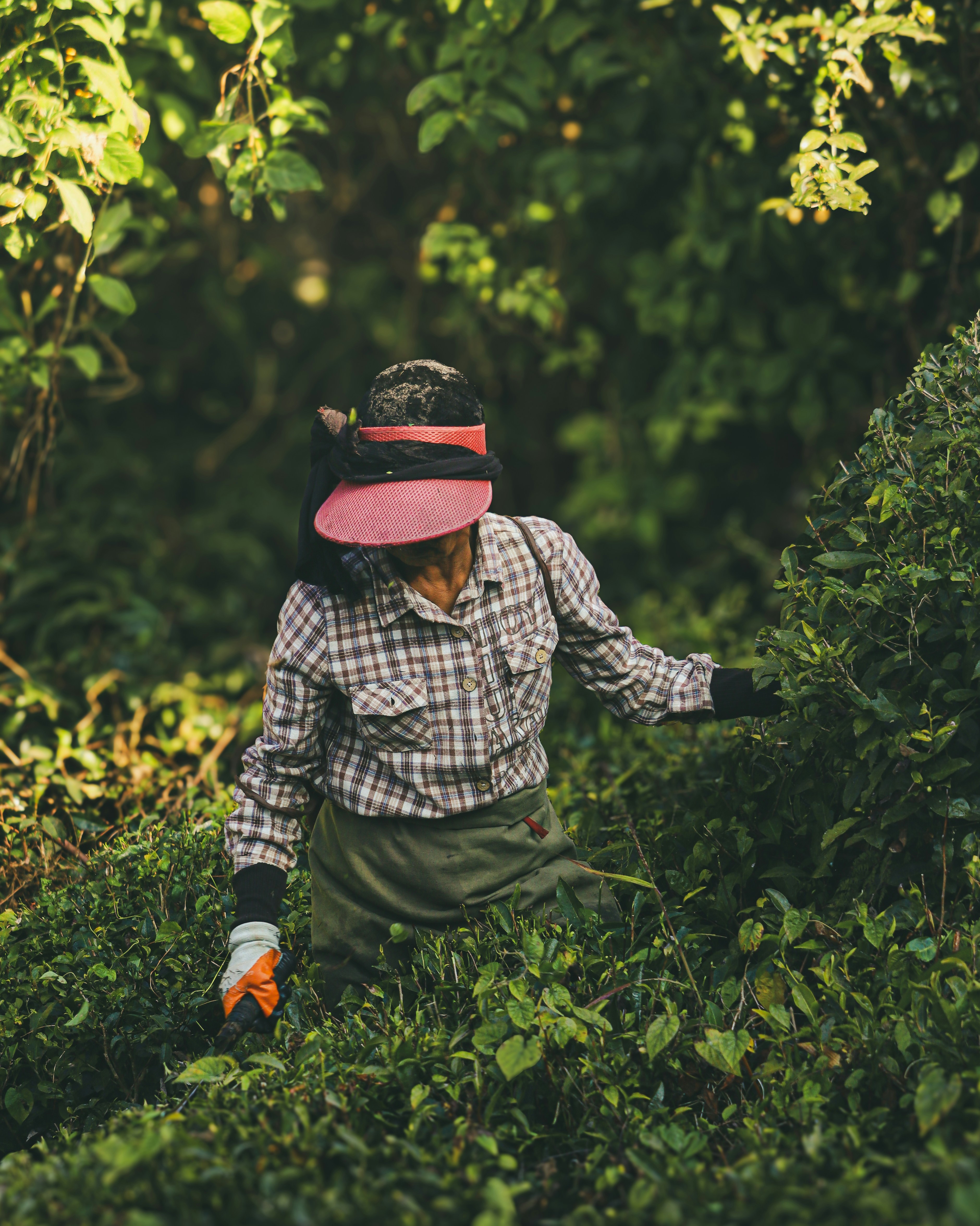 Photo by rohitsharma1785