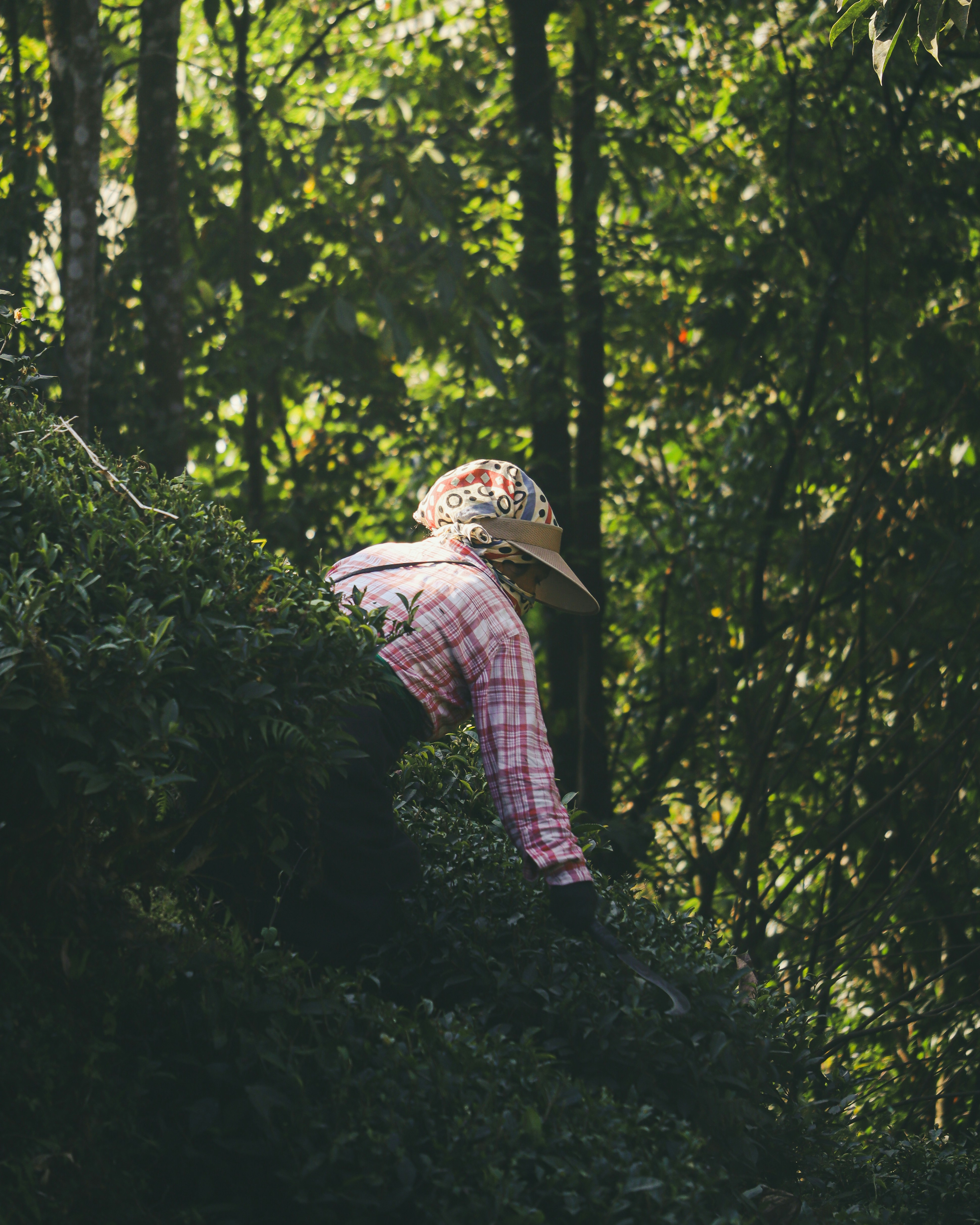 Photo by rohitsharma1785