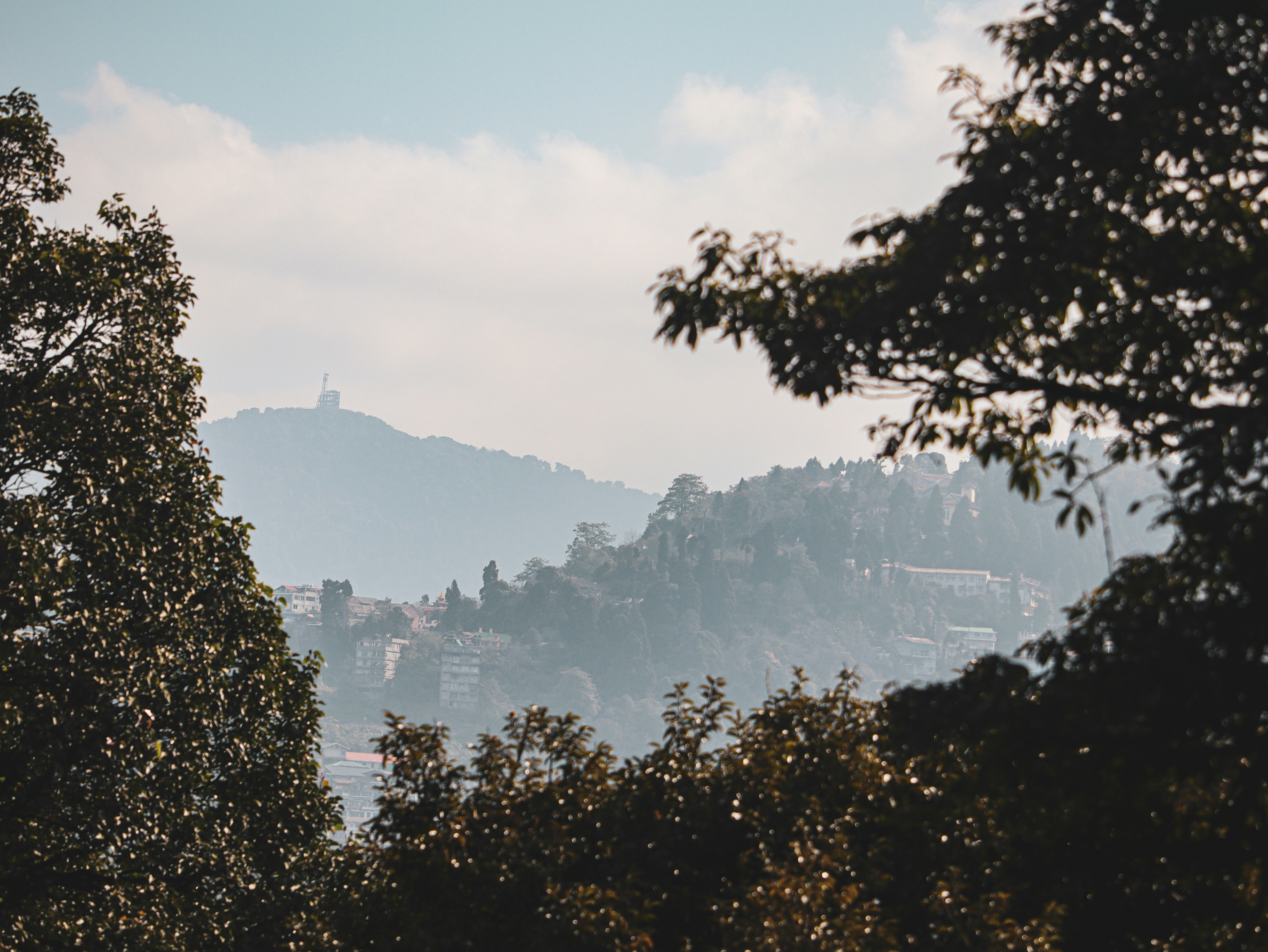 Photo by rohitsharma1785