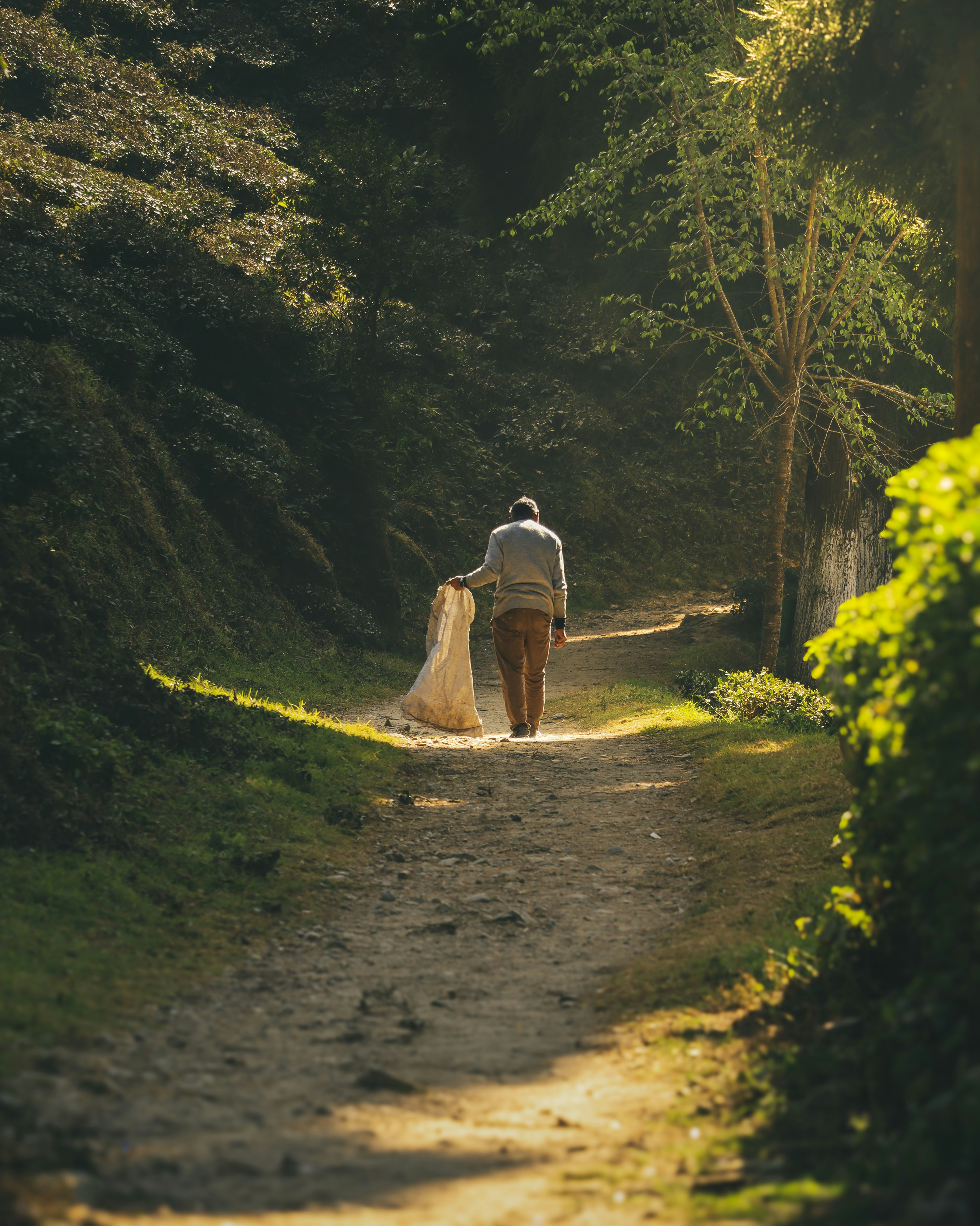 A man walking down a dirt road in the woods