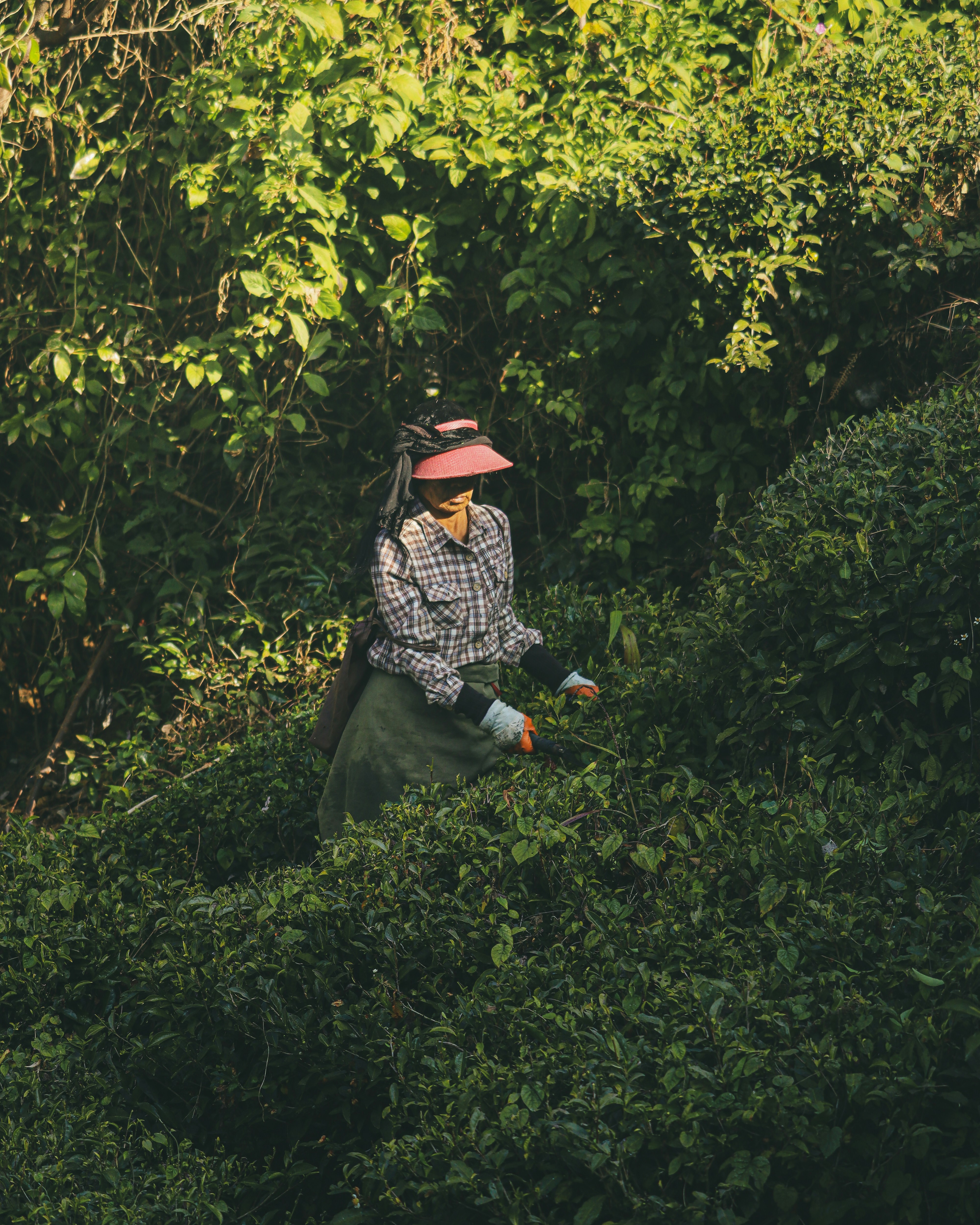 Photo by rohitsharma1785