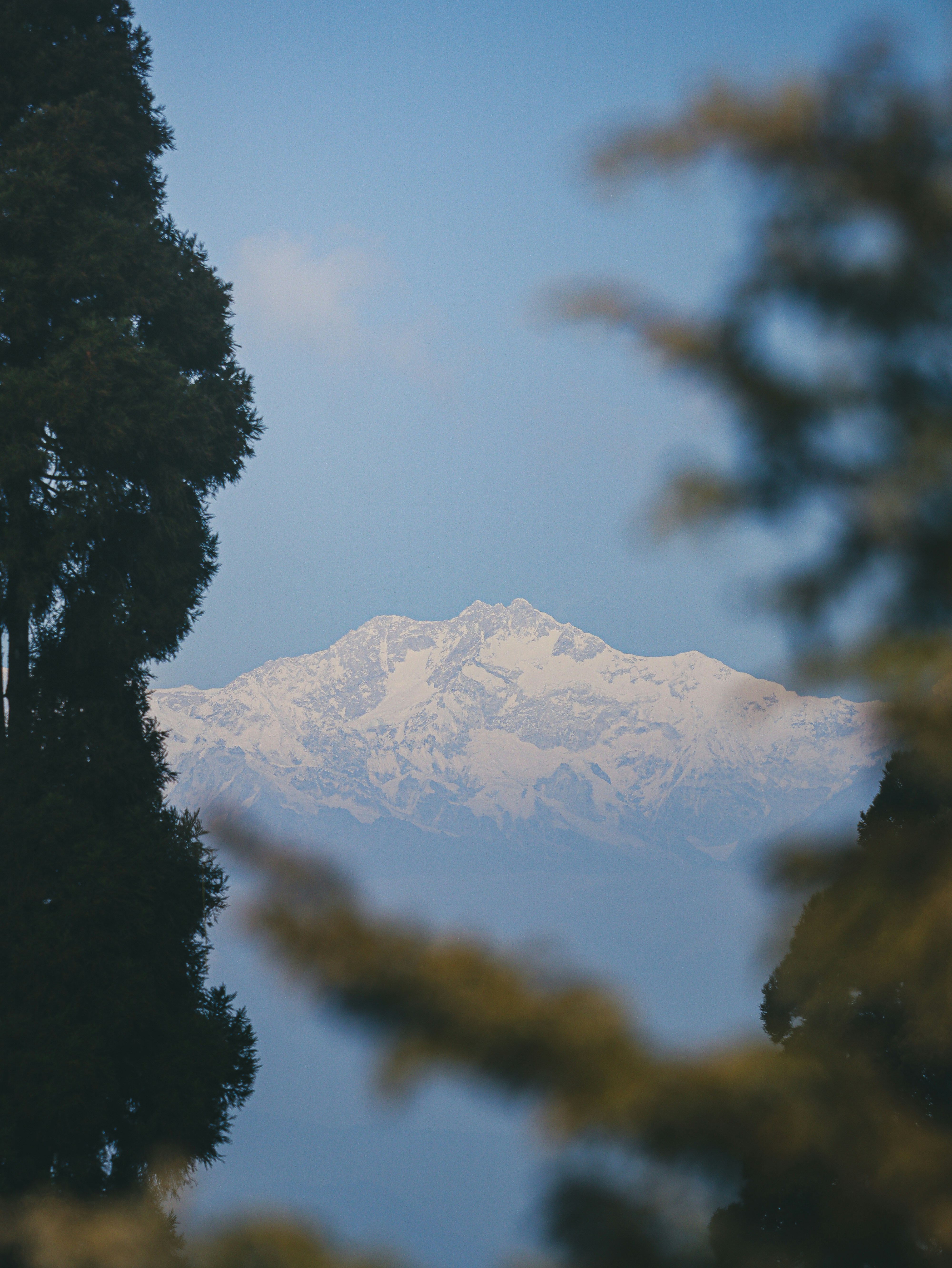 Photo by rohitsharma1785