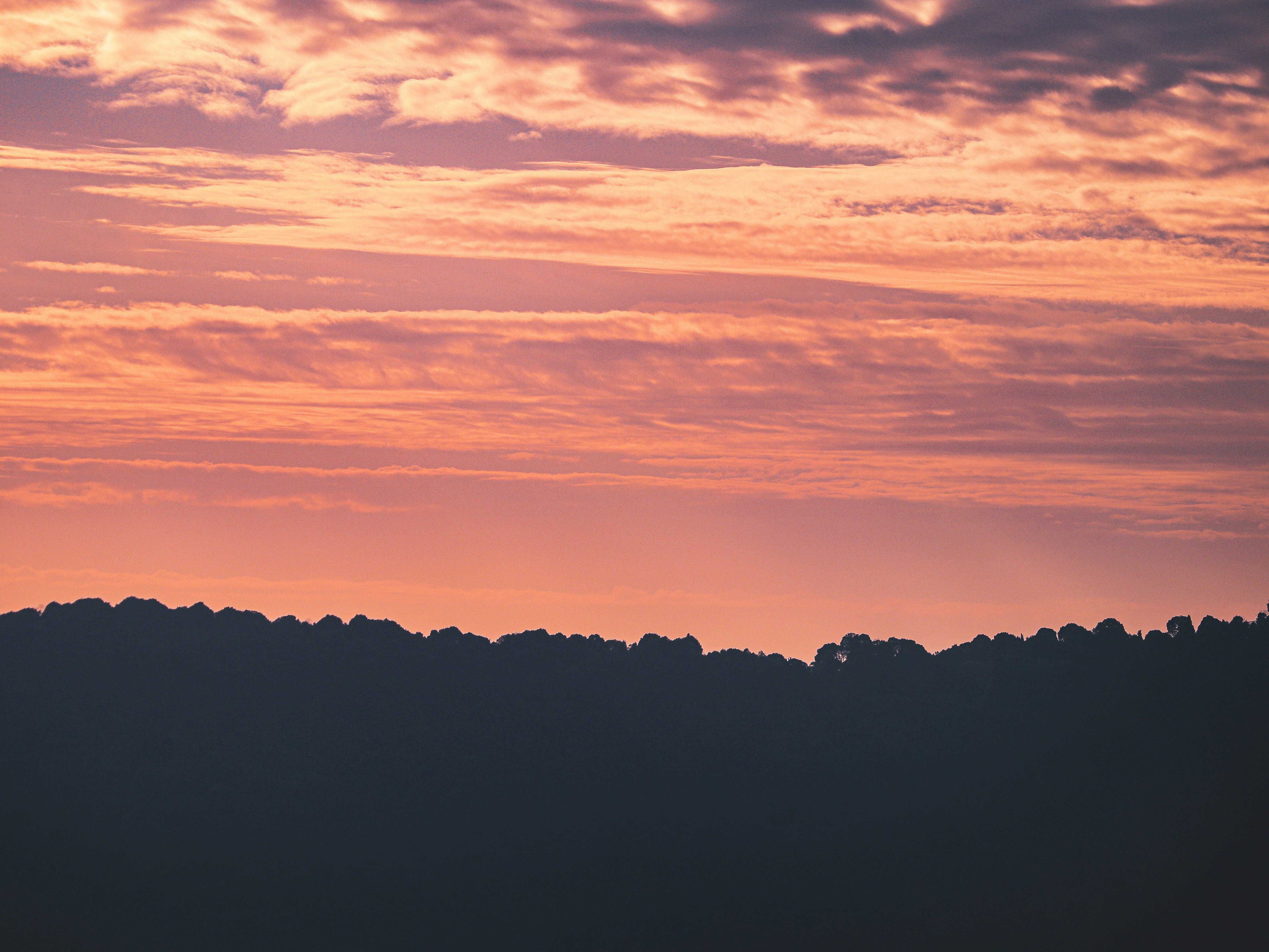 Photo by rohitsharma1785