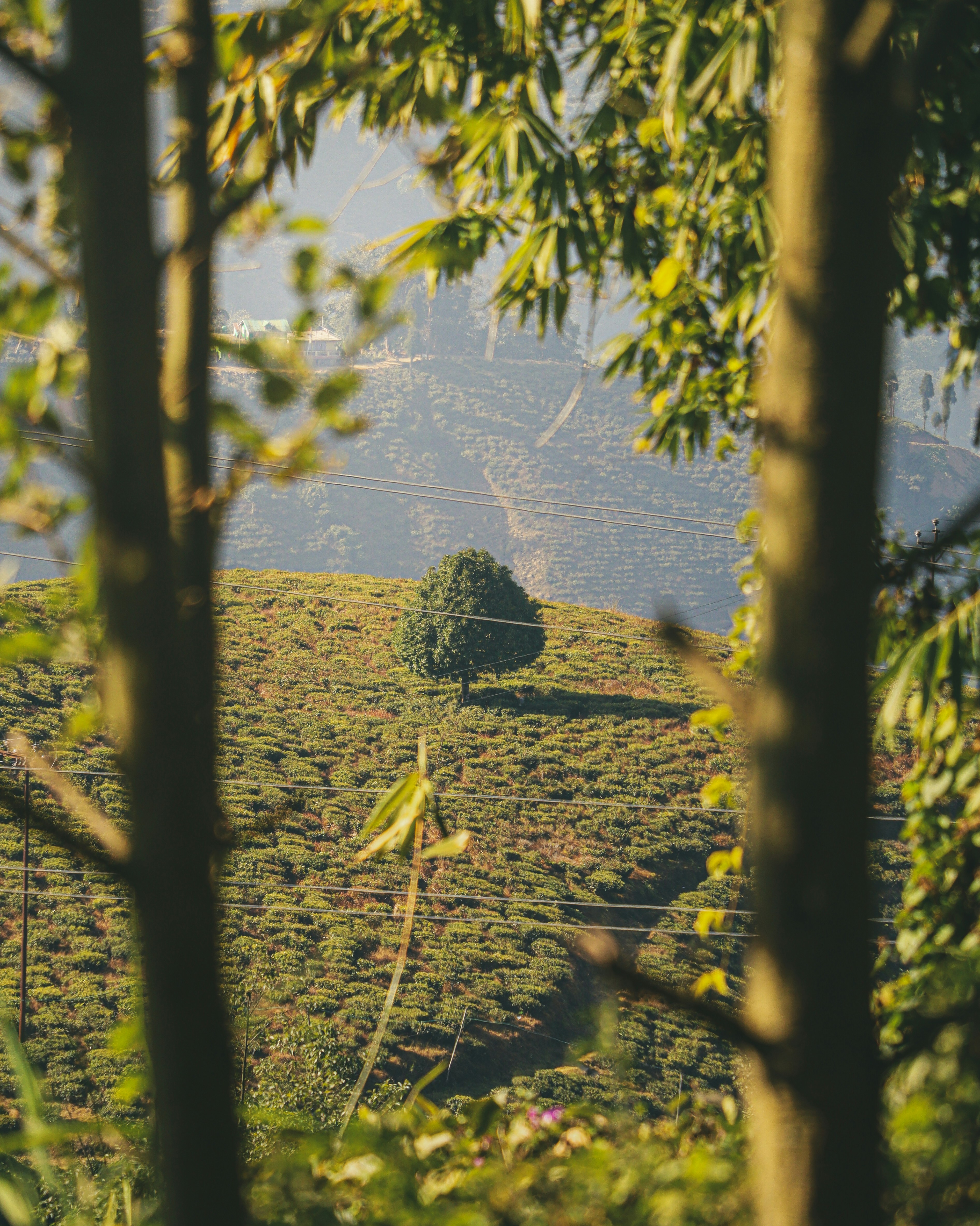 Photo by rohitsharma1785