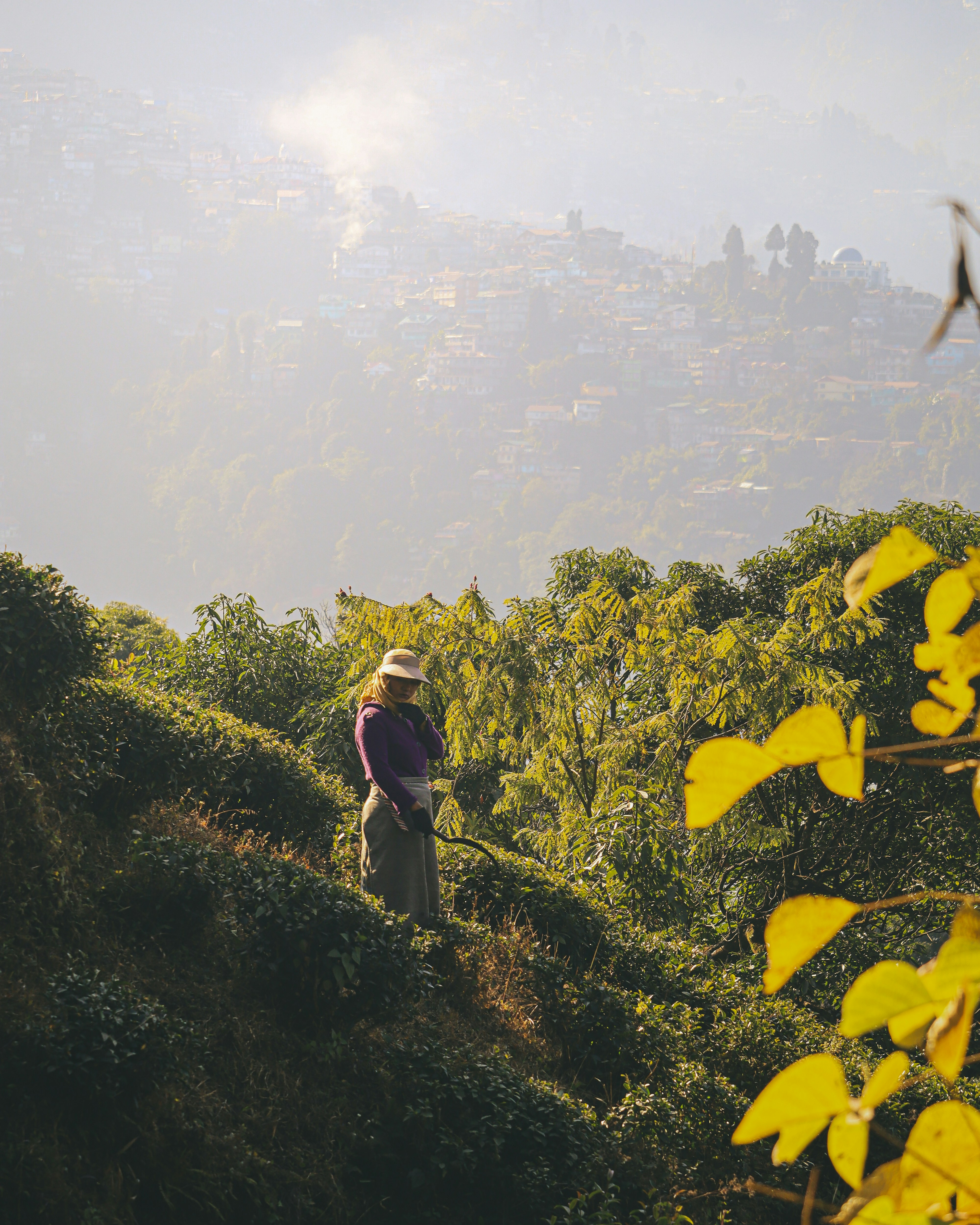 Photo by rohitsharma1785