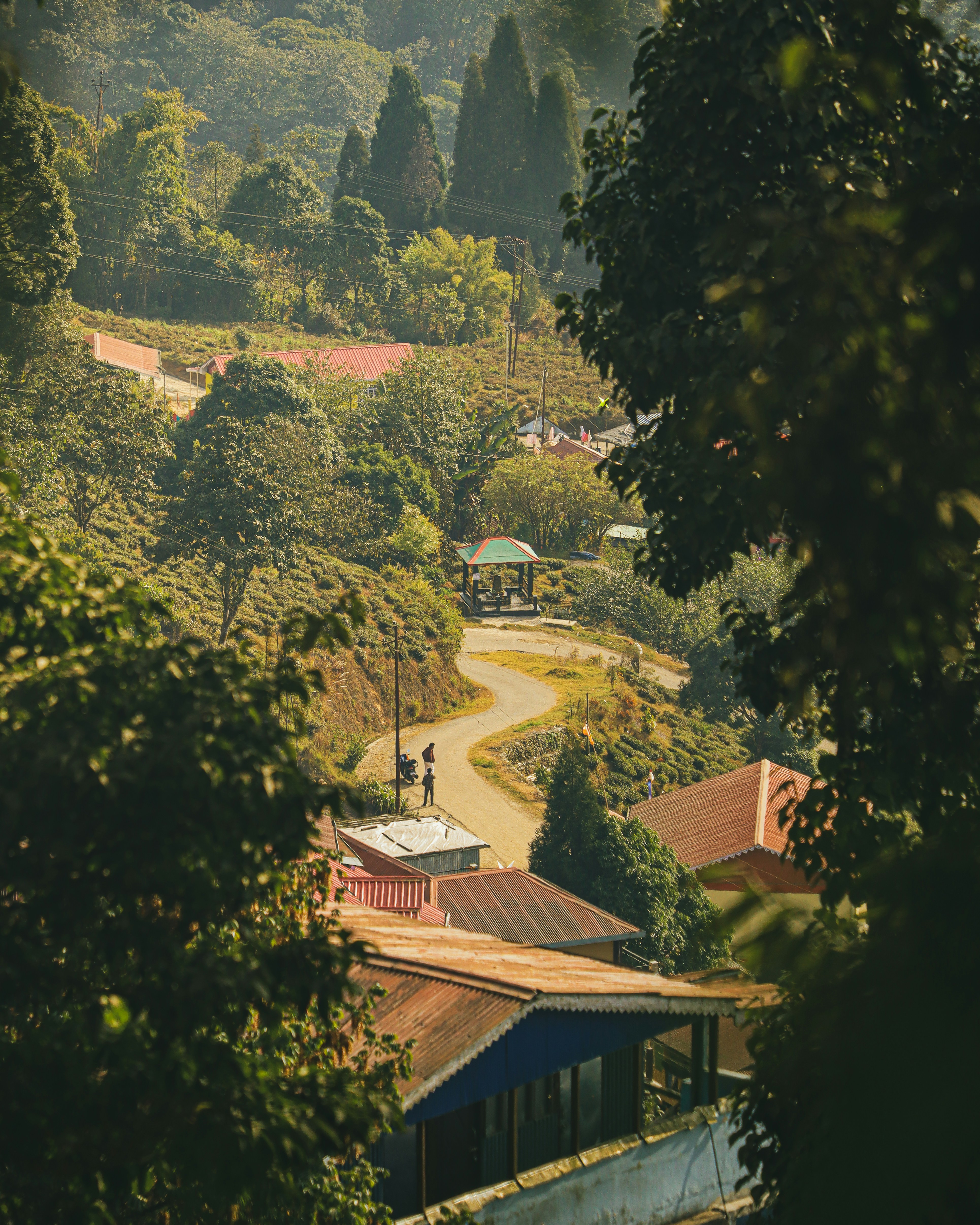 Photo by rohitsharma1785