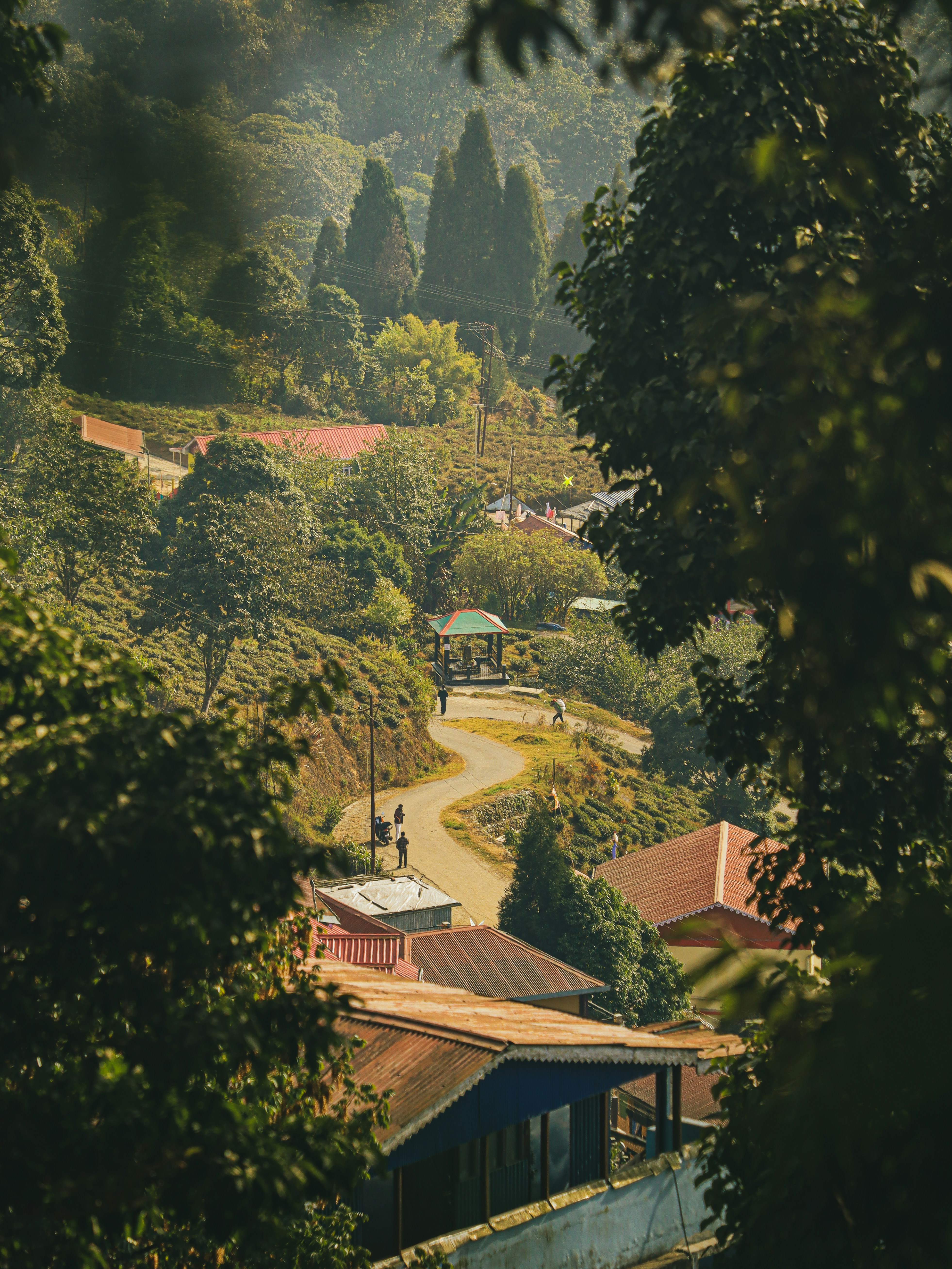 Photo by rohitsharma1785