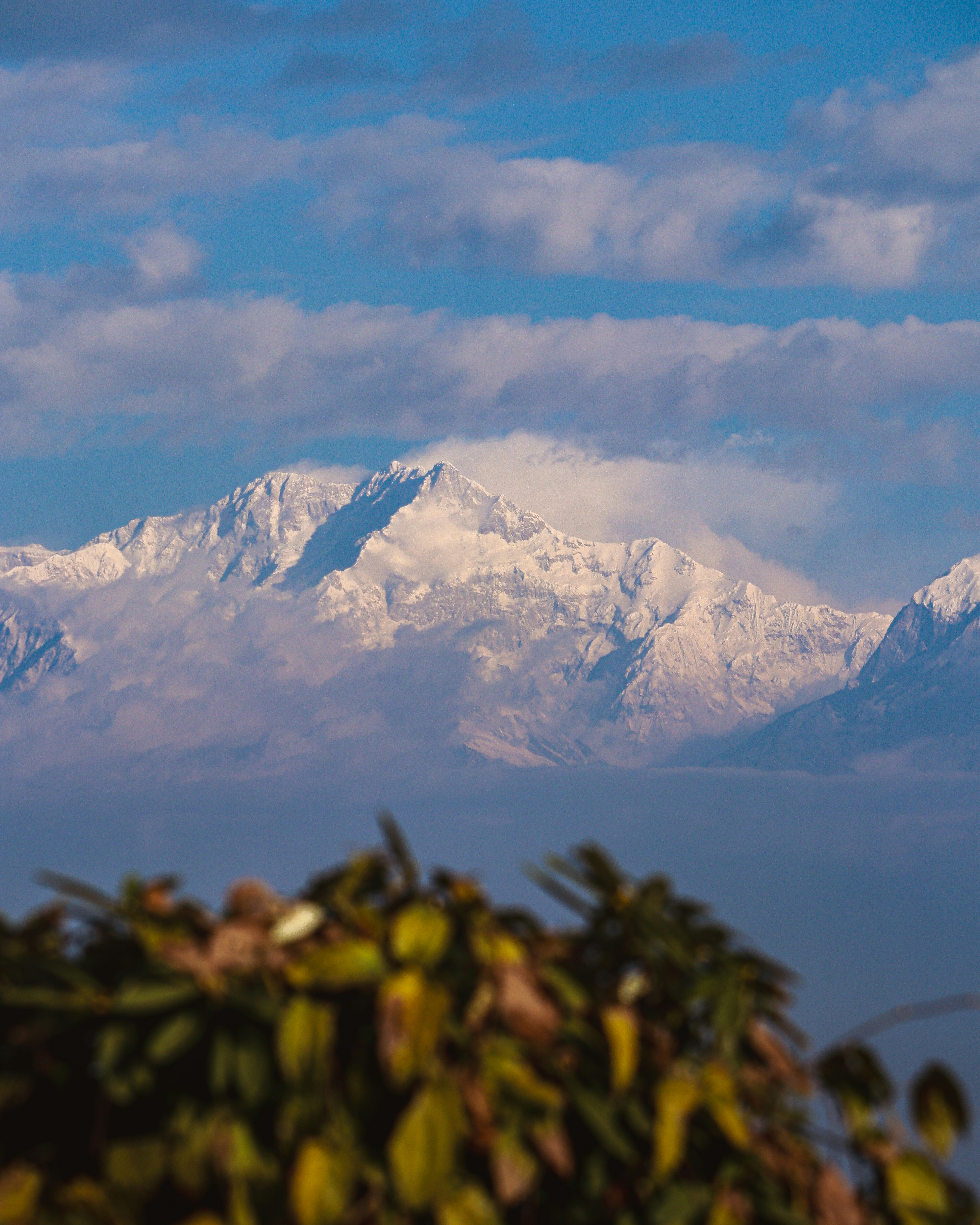 Photo by rohitsharma1785