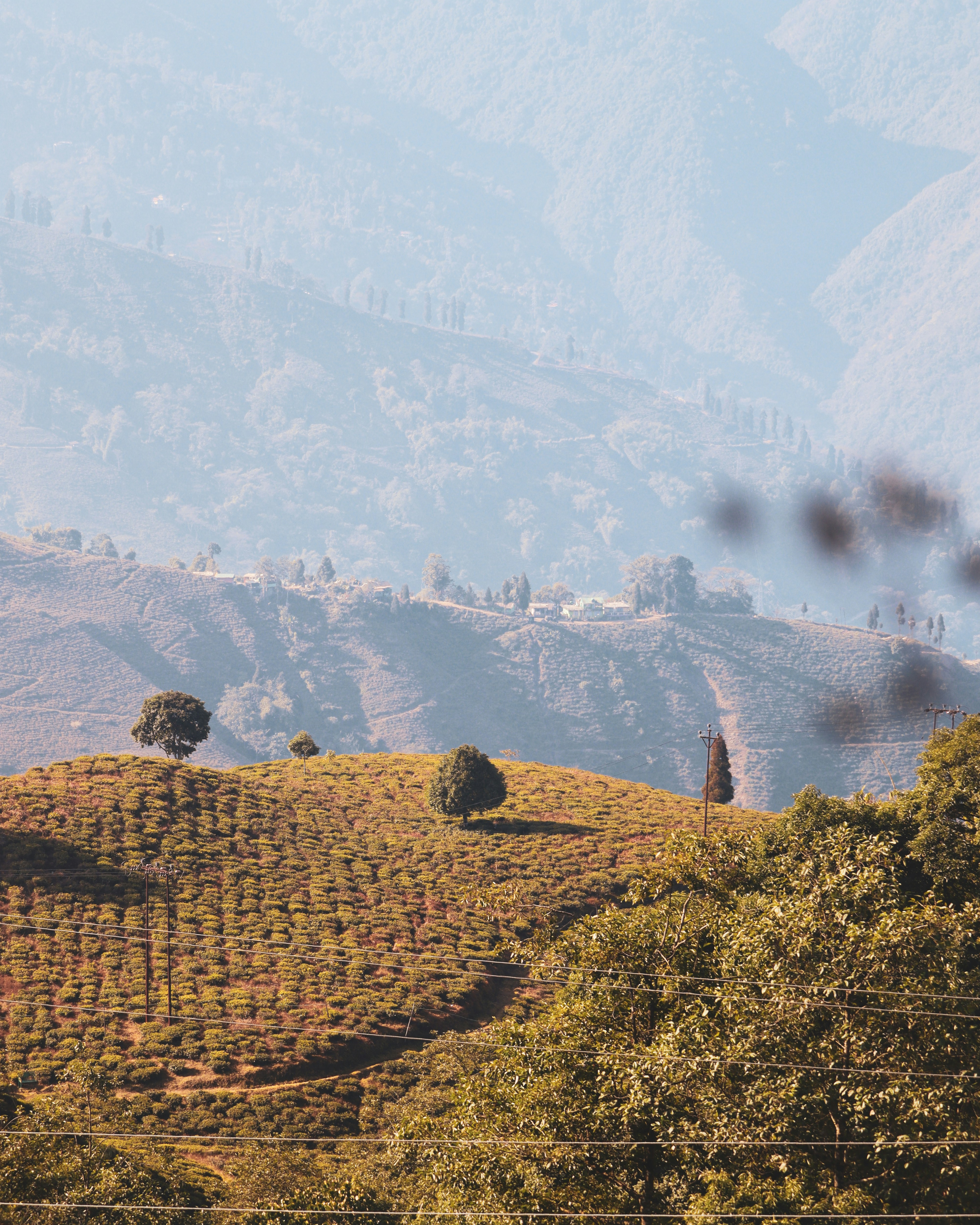 Photo by rohitsharma1785