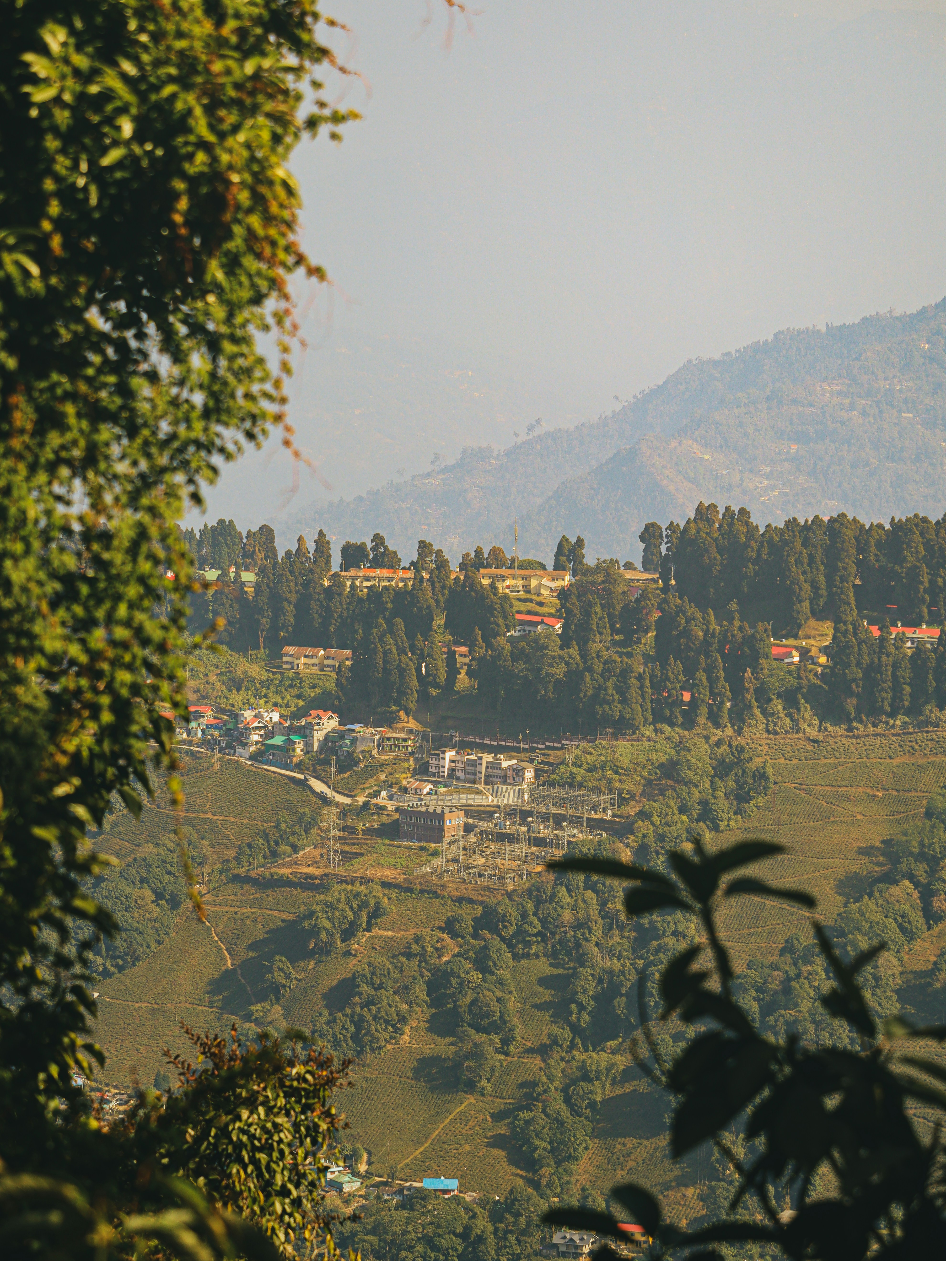 Photo by rohitsharma1785