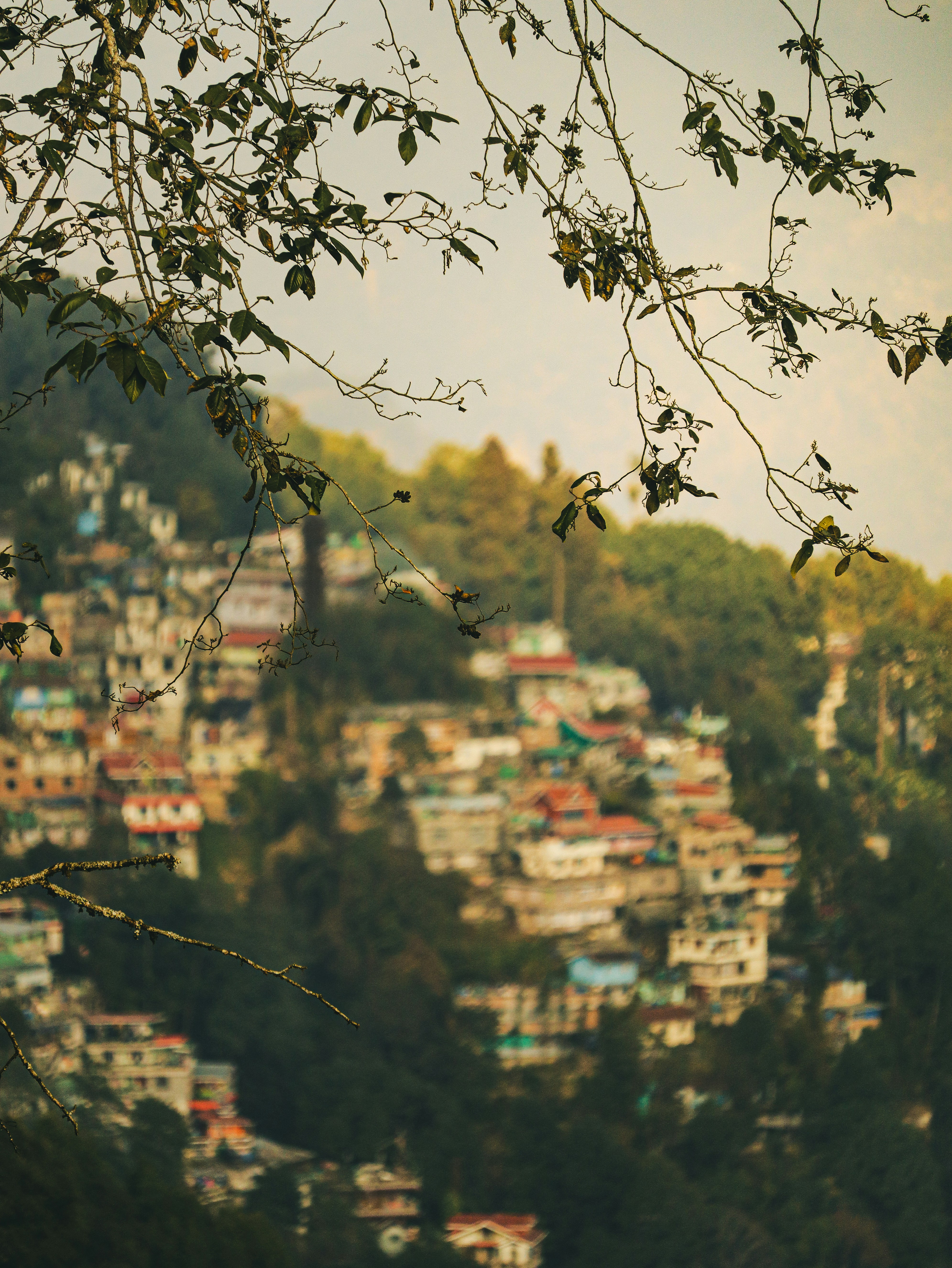 Photo by rohitsharma1785