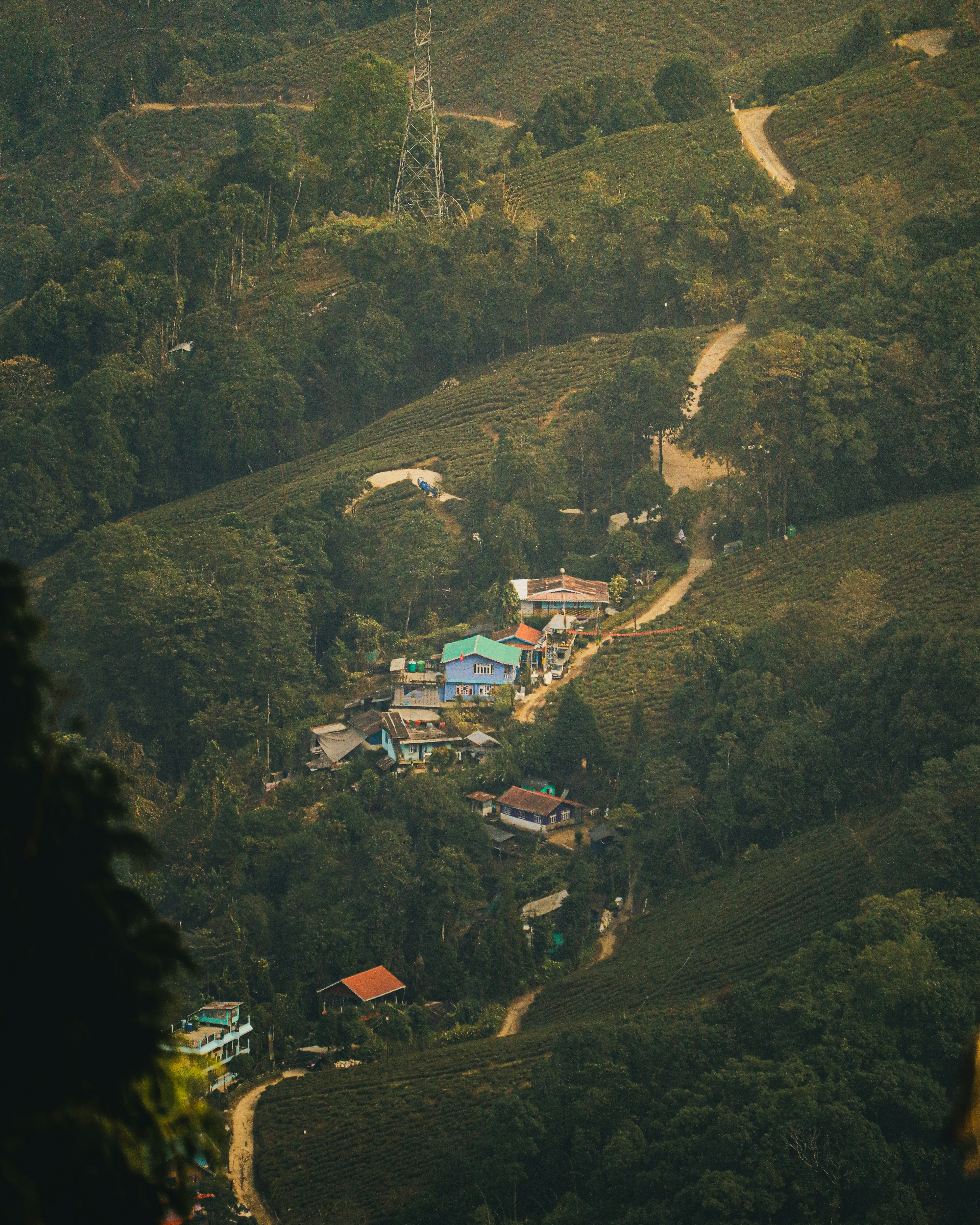 Photo by rohitsharma1785