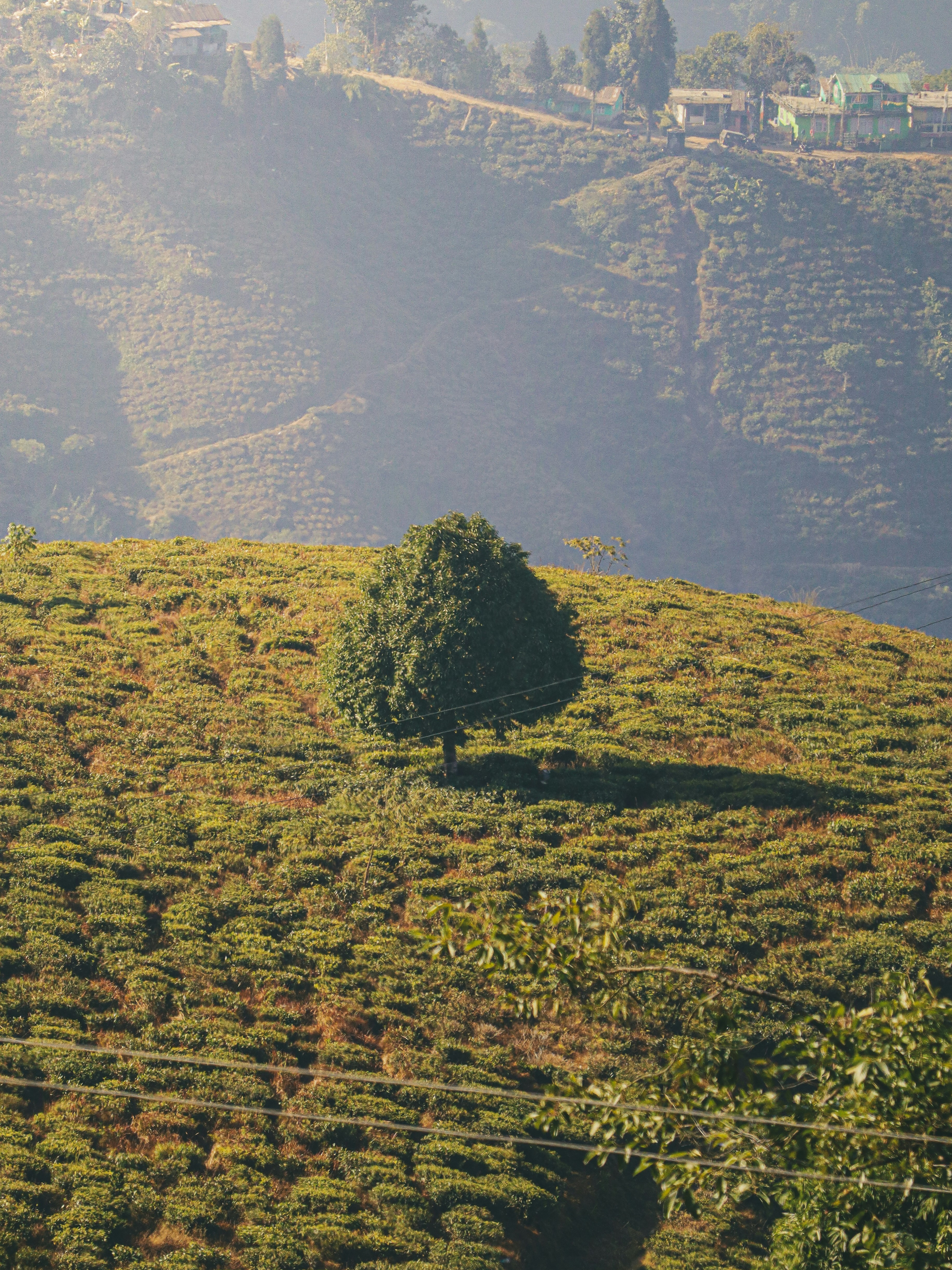 Photo by rohitsharma1785