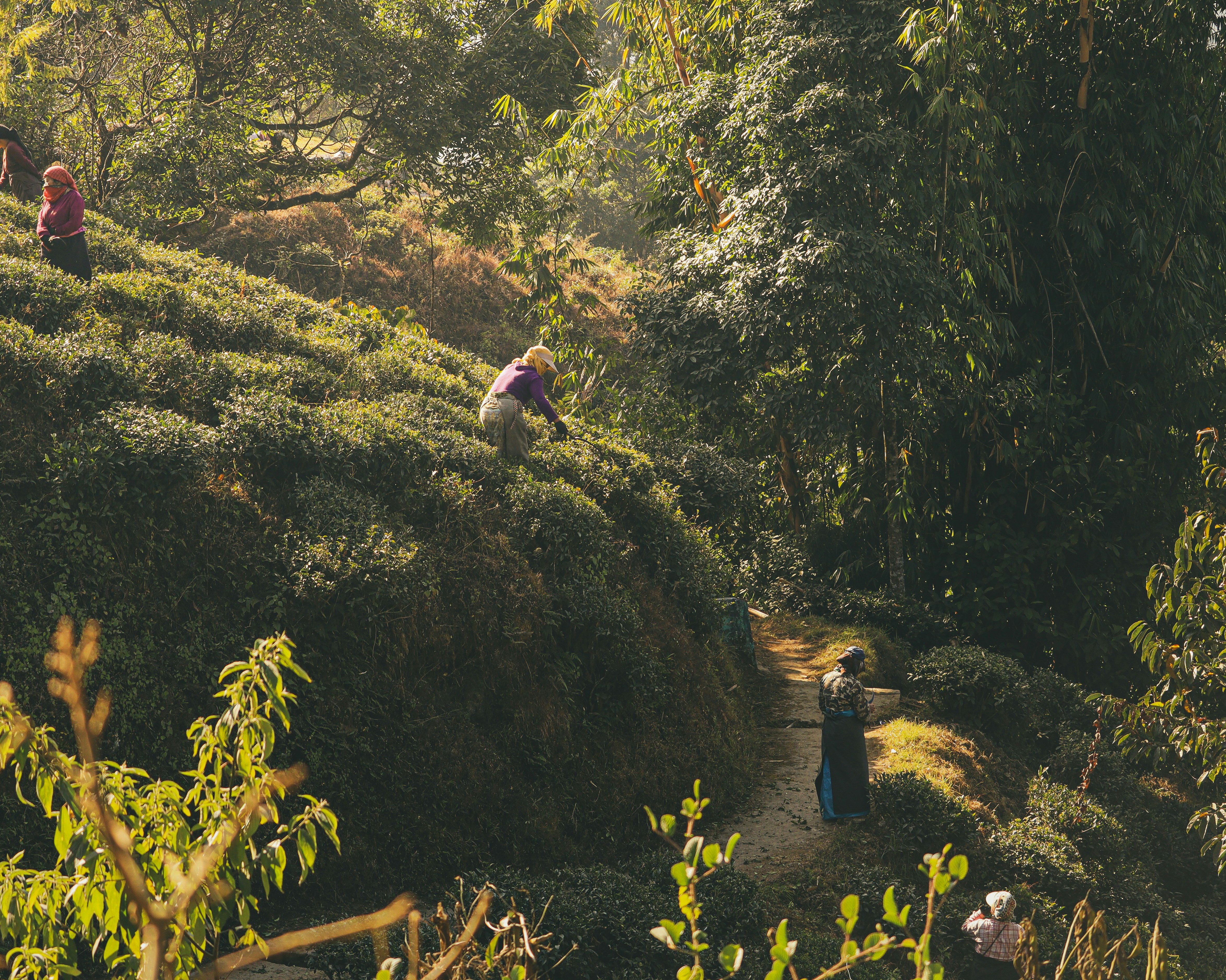 Photo by rohitsharma1785