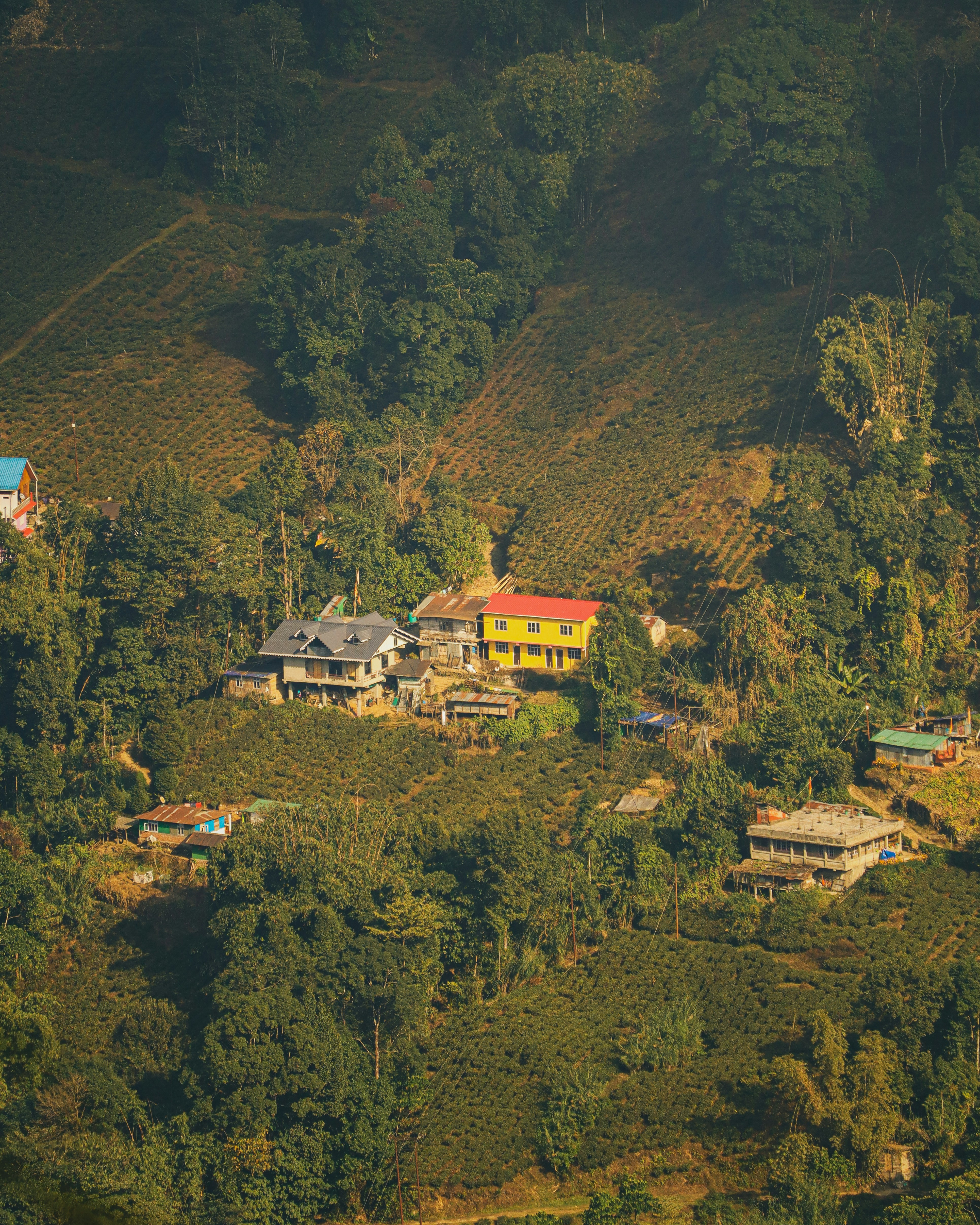 Photo by rohitsharma1785