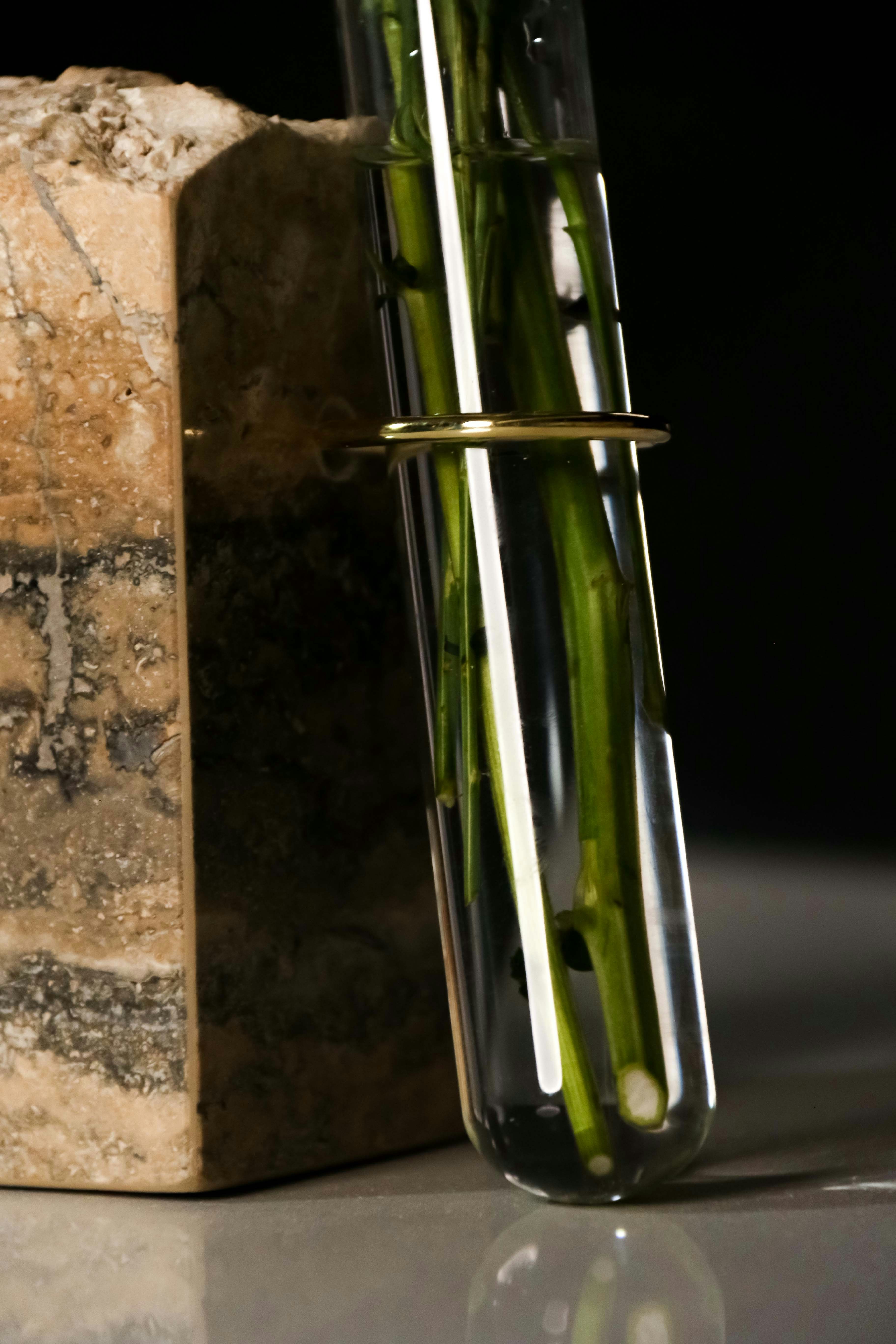 Photo by justmee_project