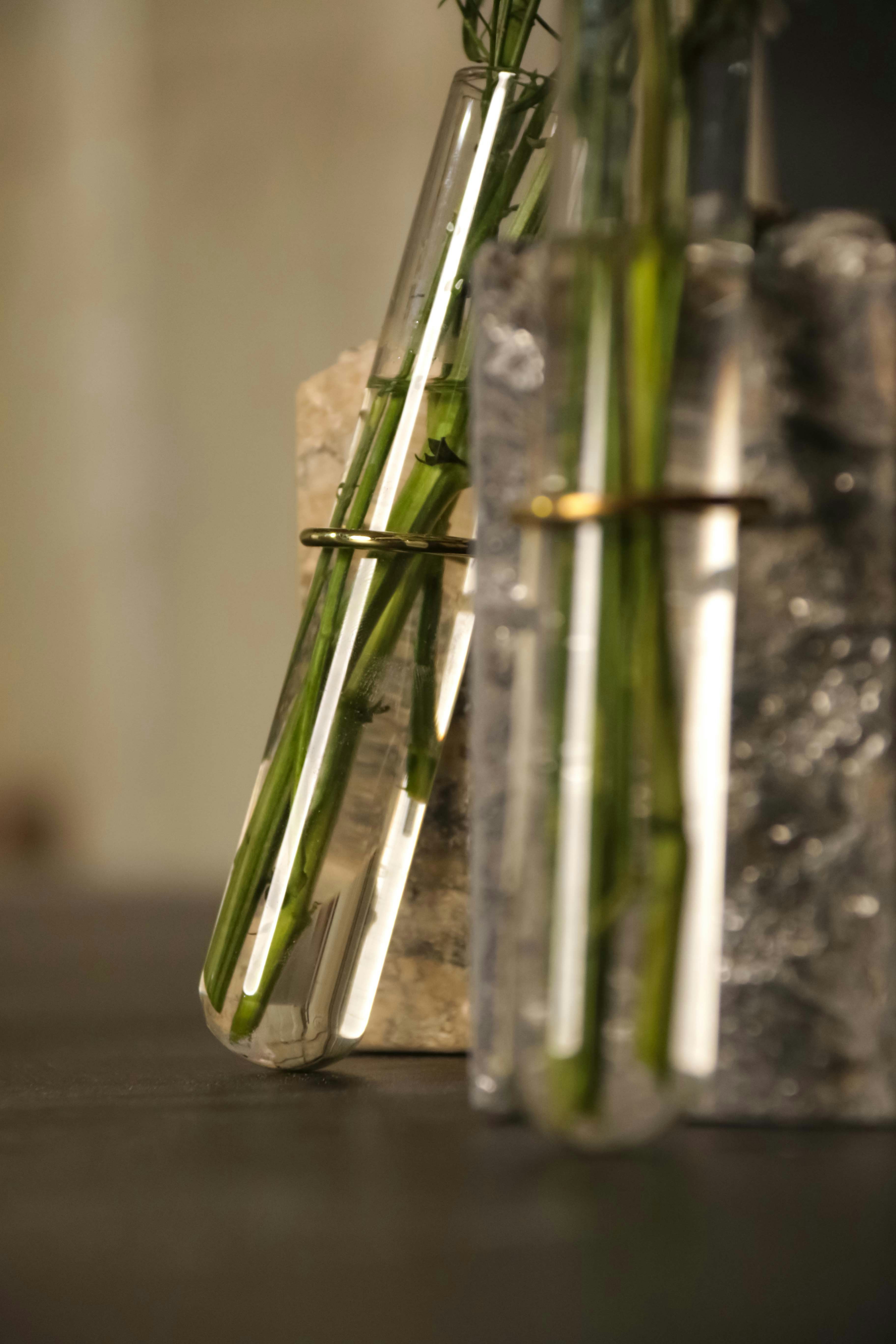 Photo by justmee_project